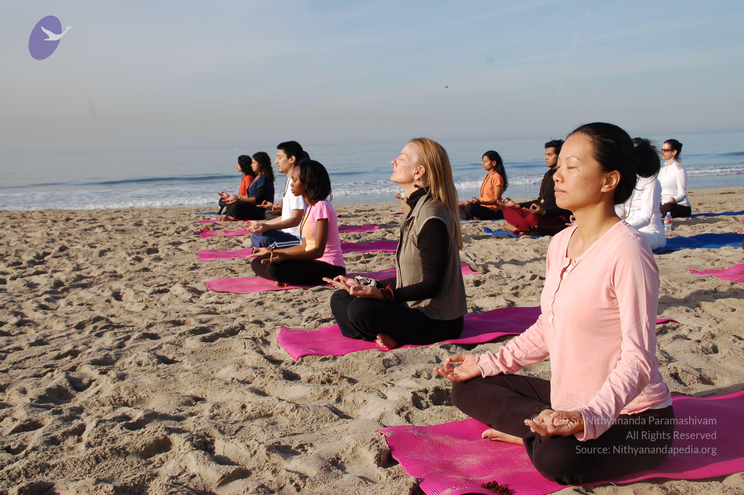 21November2008_NYT_Los_Angeles_Film2_19_CMP_WM