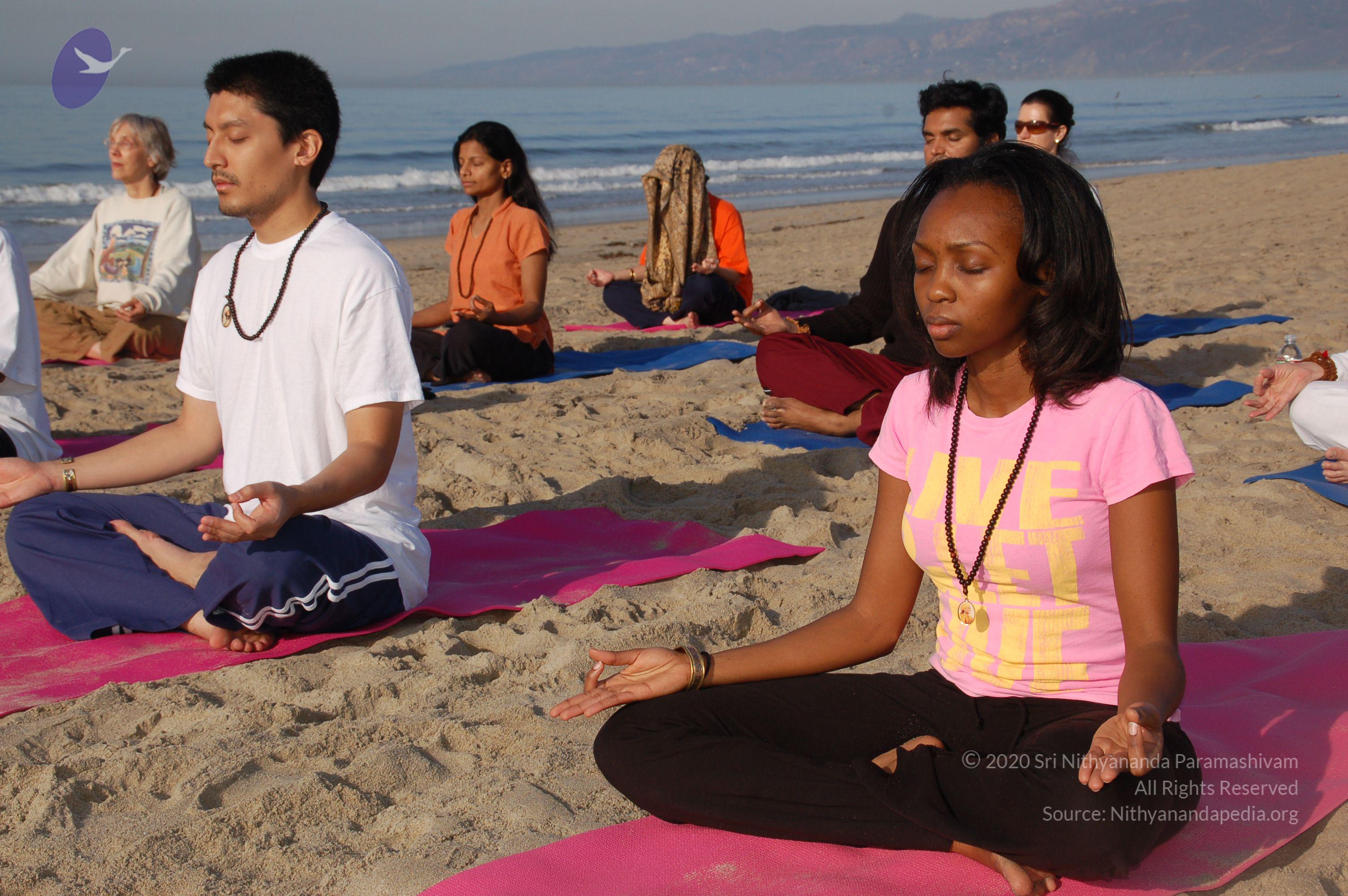 21November2008_NYT_Los_Angeles_Film2_20-1_CMP_WM