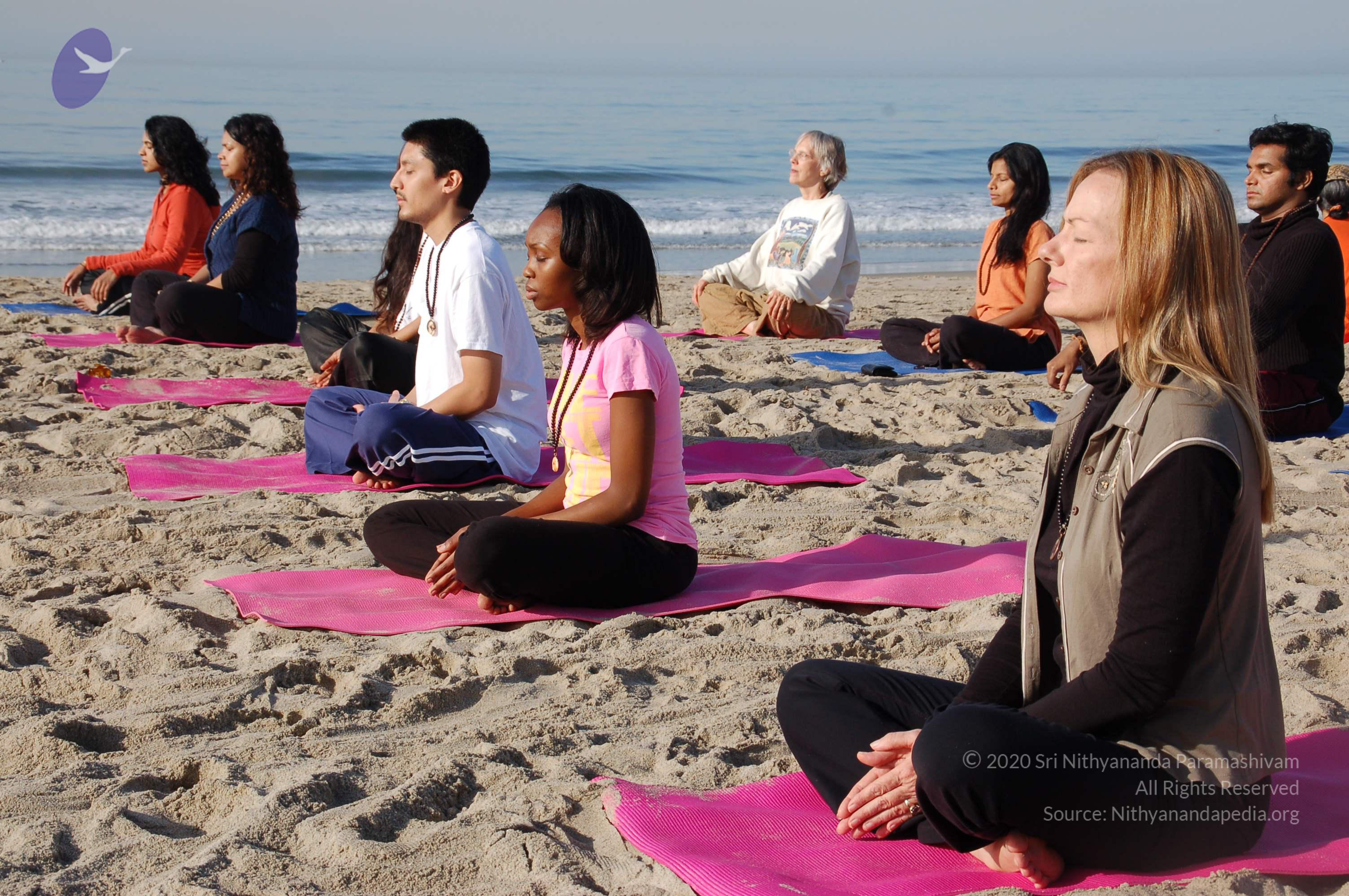 21November2008_NYT_Los_Angeles_Film2_35_CMP_WM