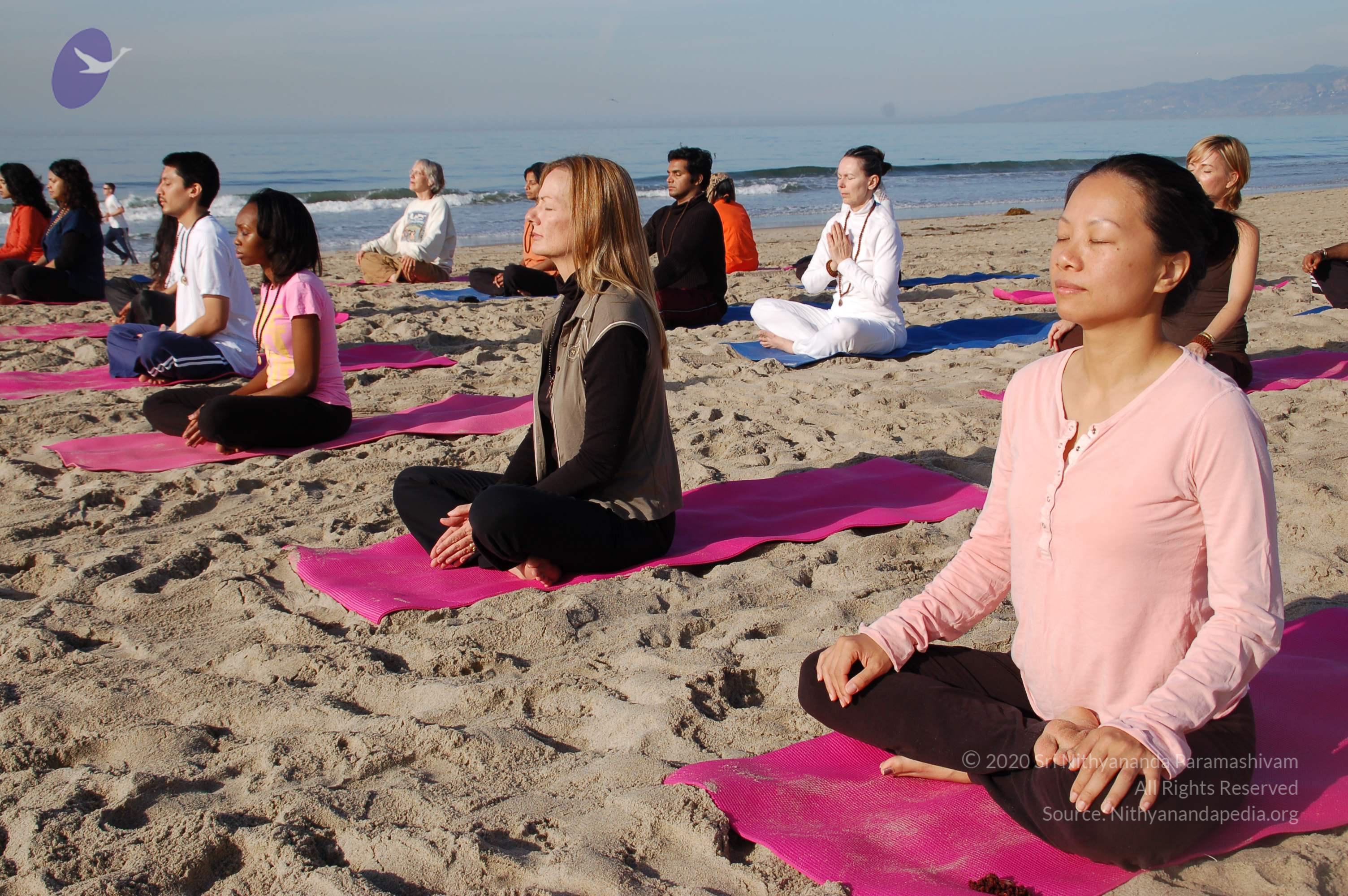 21November2008_NYT_Los_Angeles_Film2_36_CMP_WM