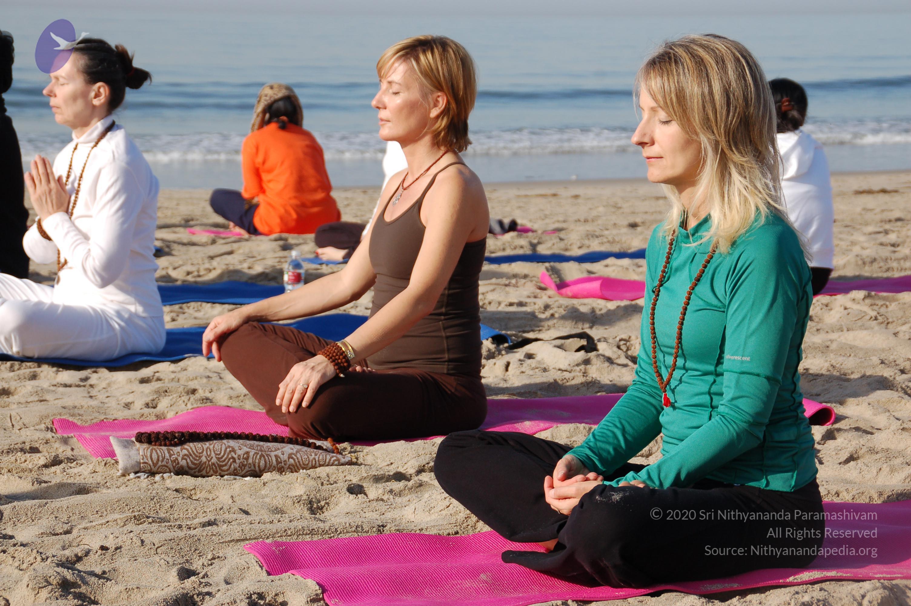 21November2008_NYT_Los_Angeles_Film2_40_CMP_WM