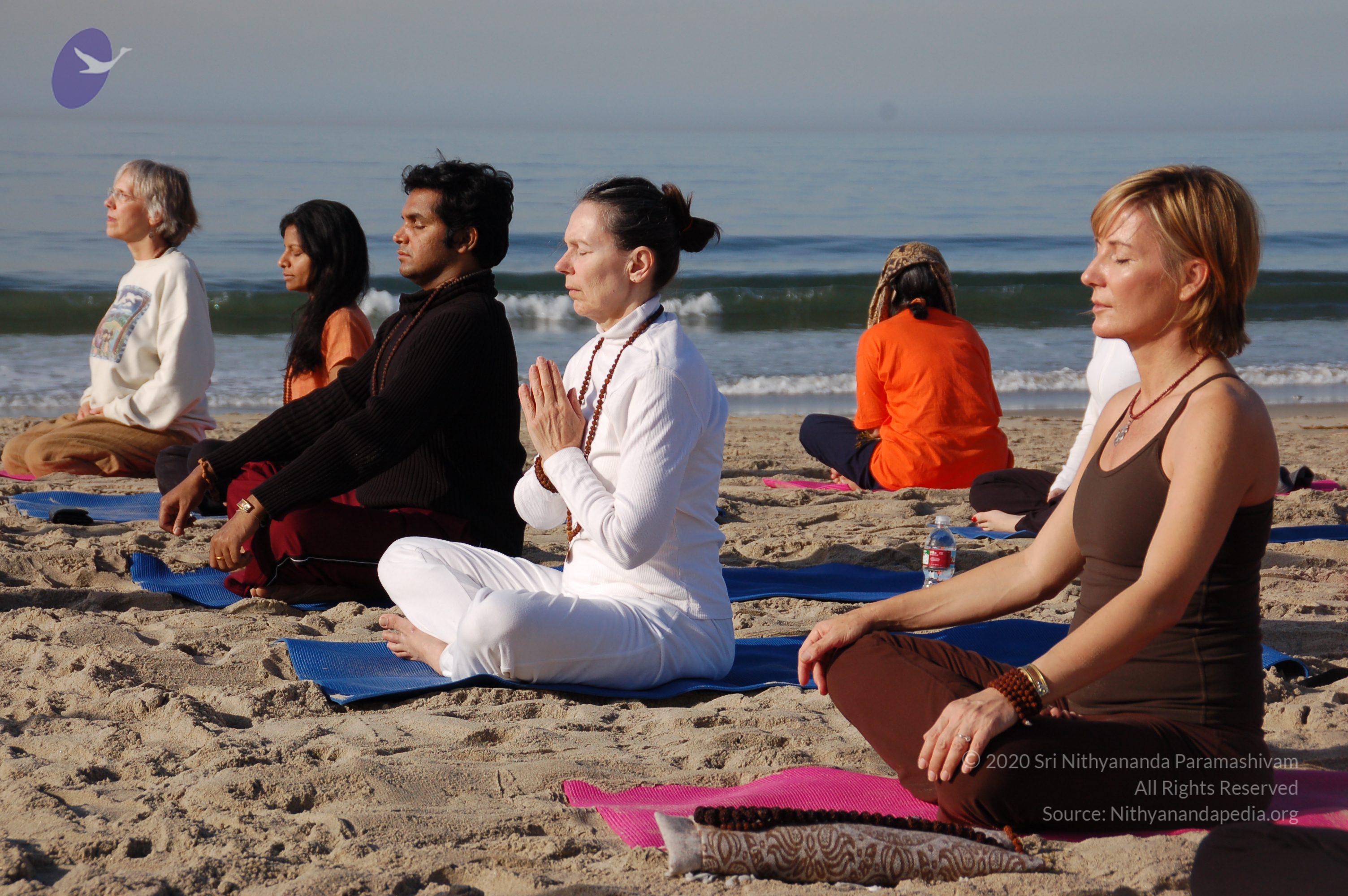 21November2008_NYT_Los_Angeles_Film2_41_CMP_WM