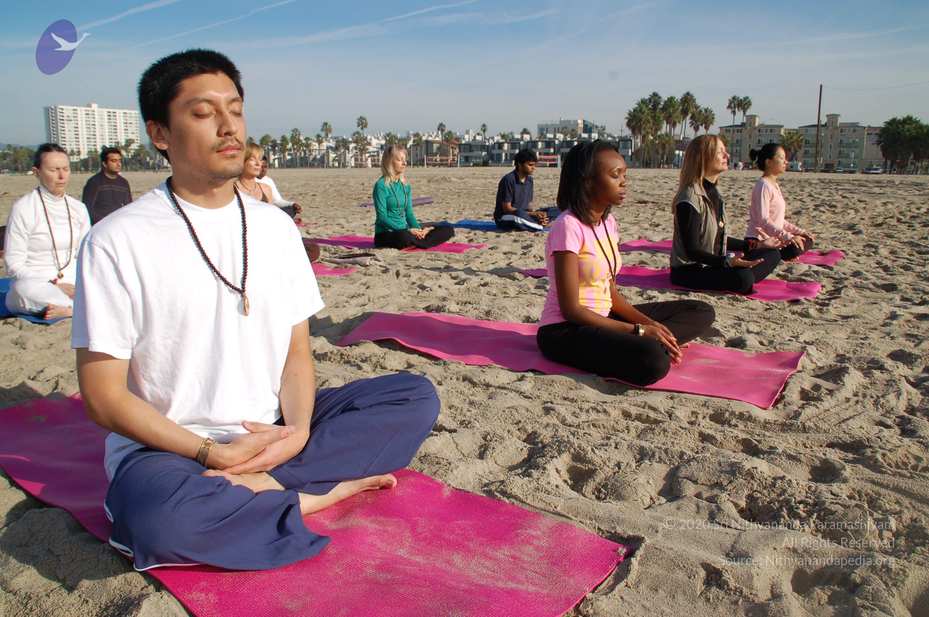 21November2008_NYT_Los_Angeles_Film2_56_CMP_WM