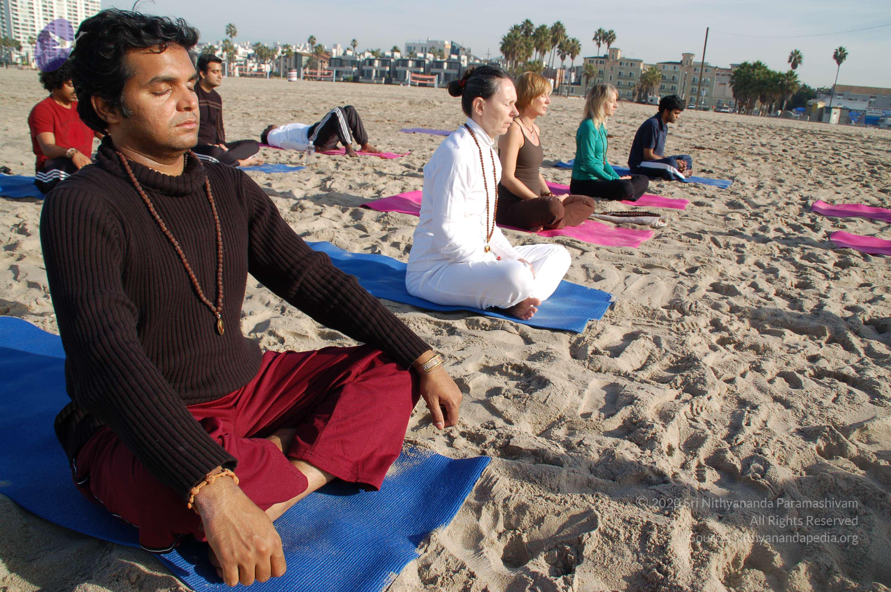 21November2008_NYT_Los_Angeles_Film2_58-1_CMP_WM