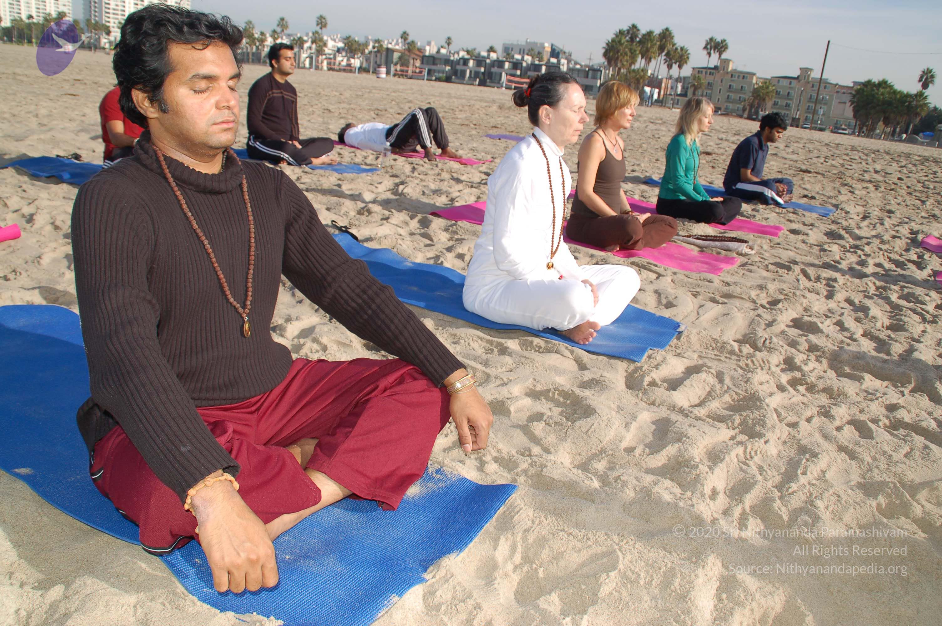 21November2008_NYT_Los_Angeles_Film2_60_CMP_WM