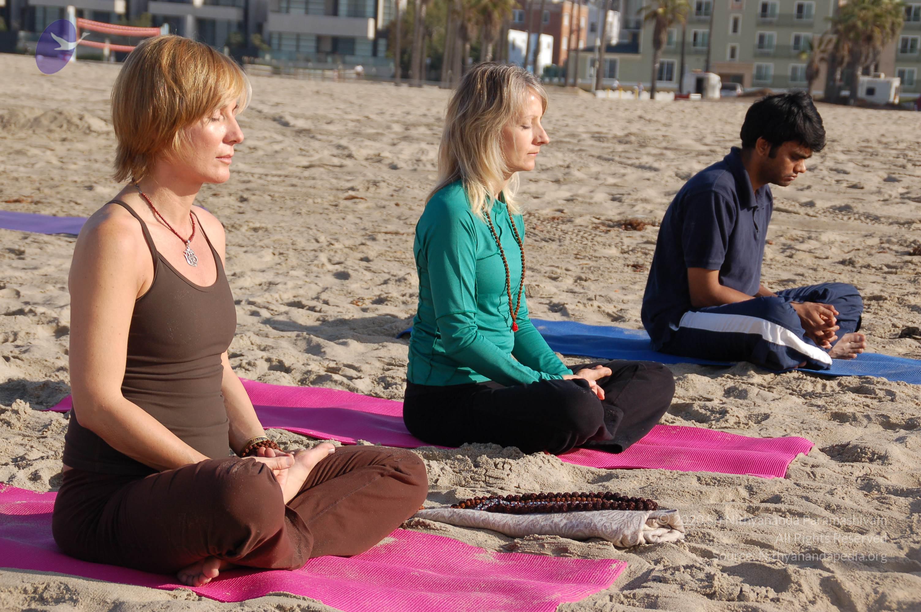 21November2008_NYT_Los_Angeles_Film2_62_CMP_WM