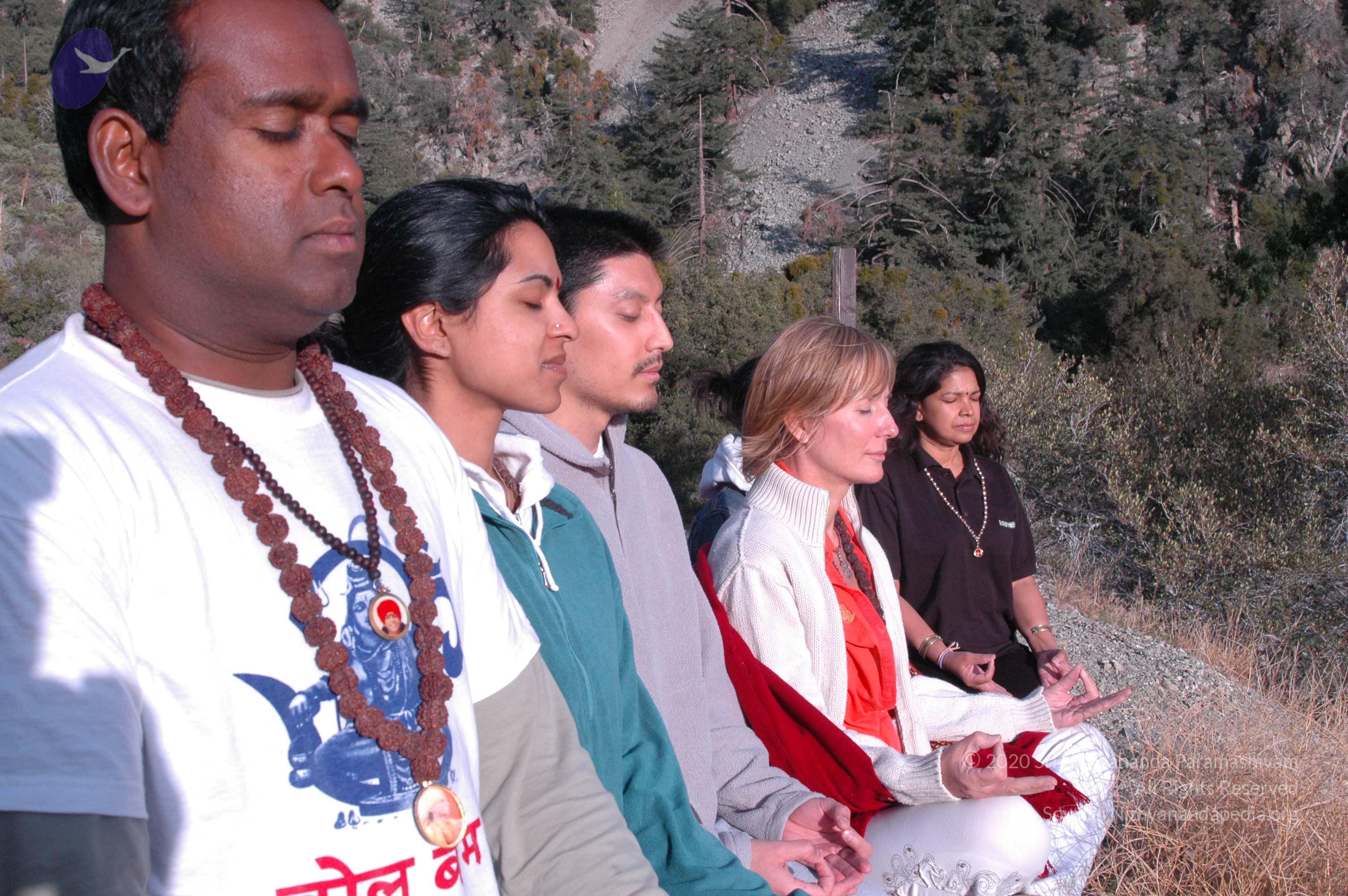 24November2008_NYT_Los_Angeles_ 31_CMP_WM