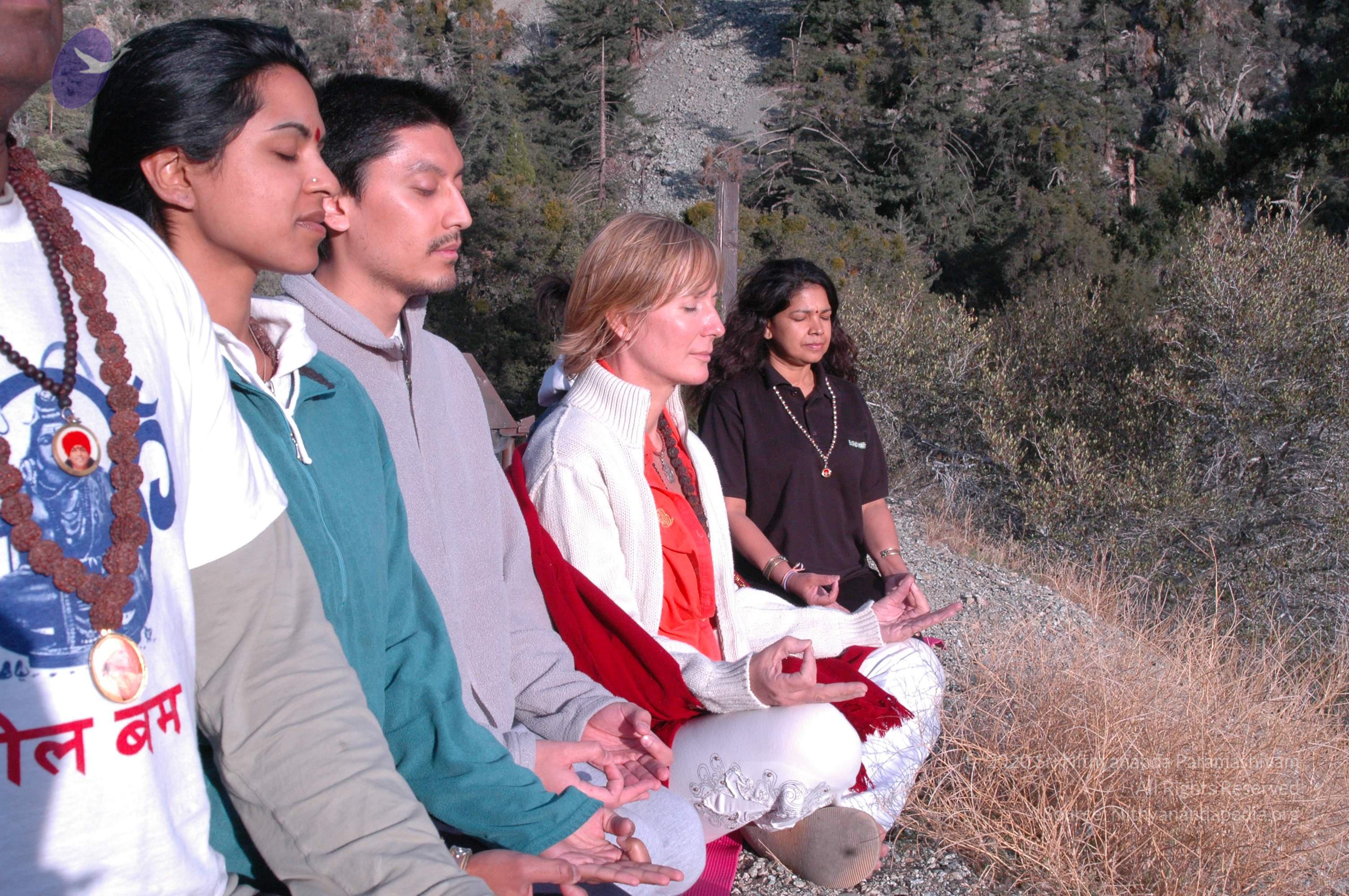 24November2008_NYT_Los_Angeles_ 32_CMP_WM