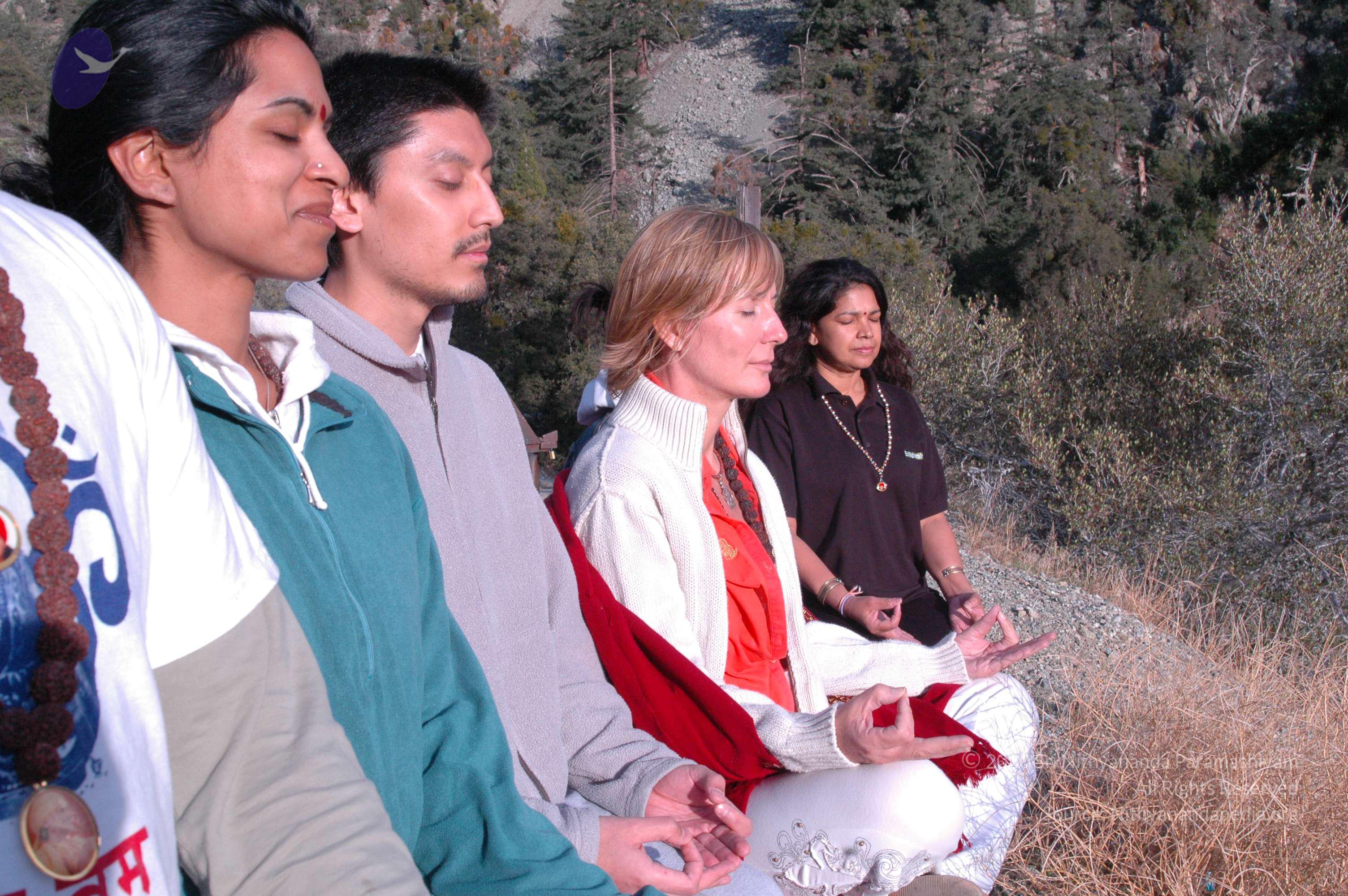 24November2008_NYT_Los_Angeles_ 33_CMP_WM