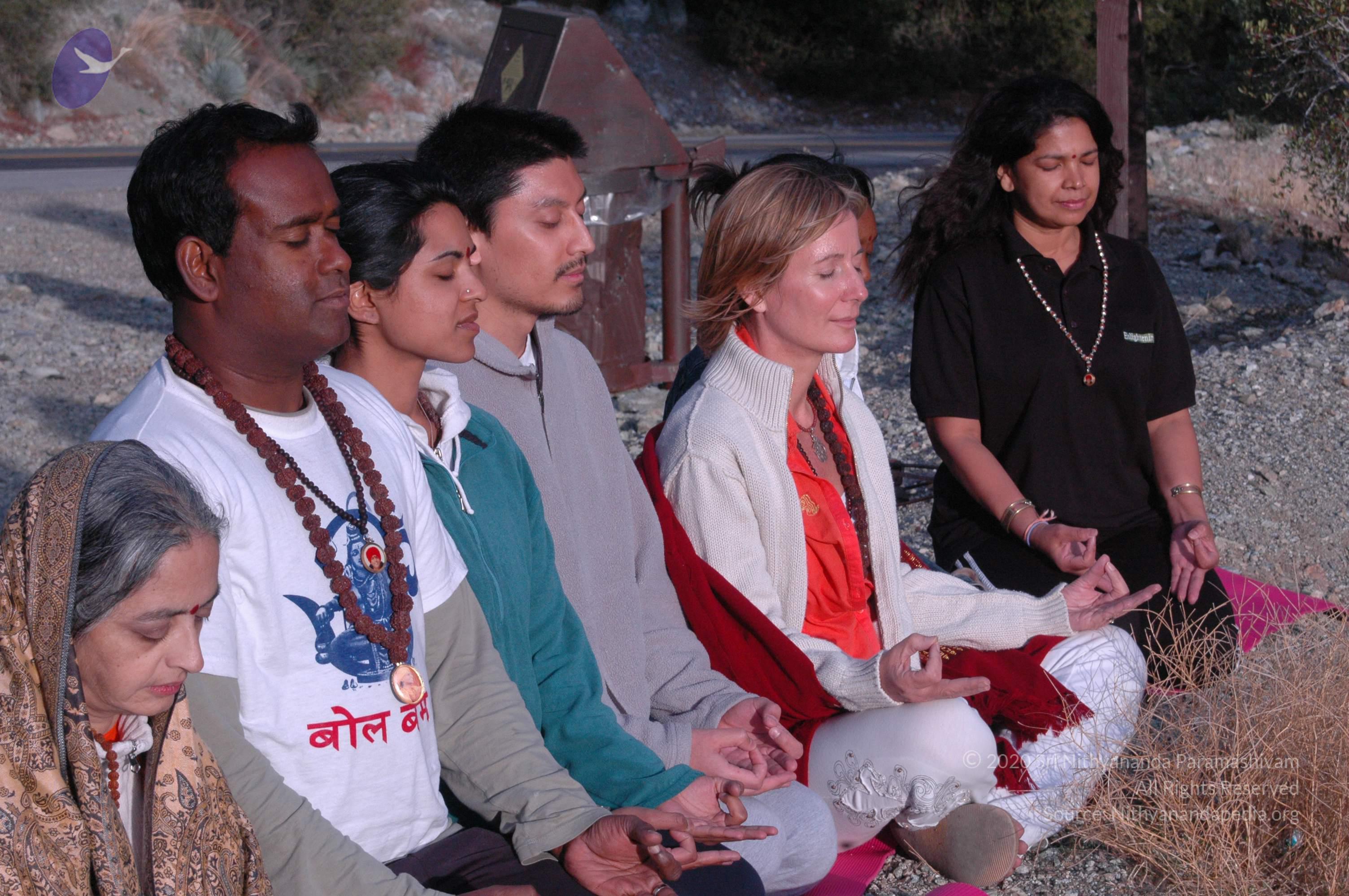 24November2008_NYT_Los_Angeles_ 35_CMP_WM