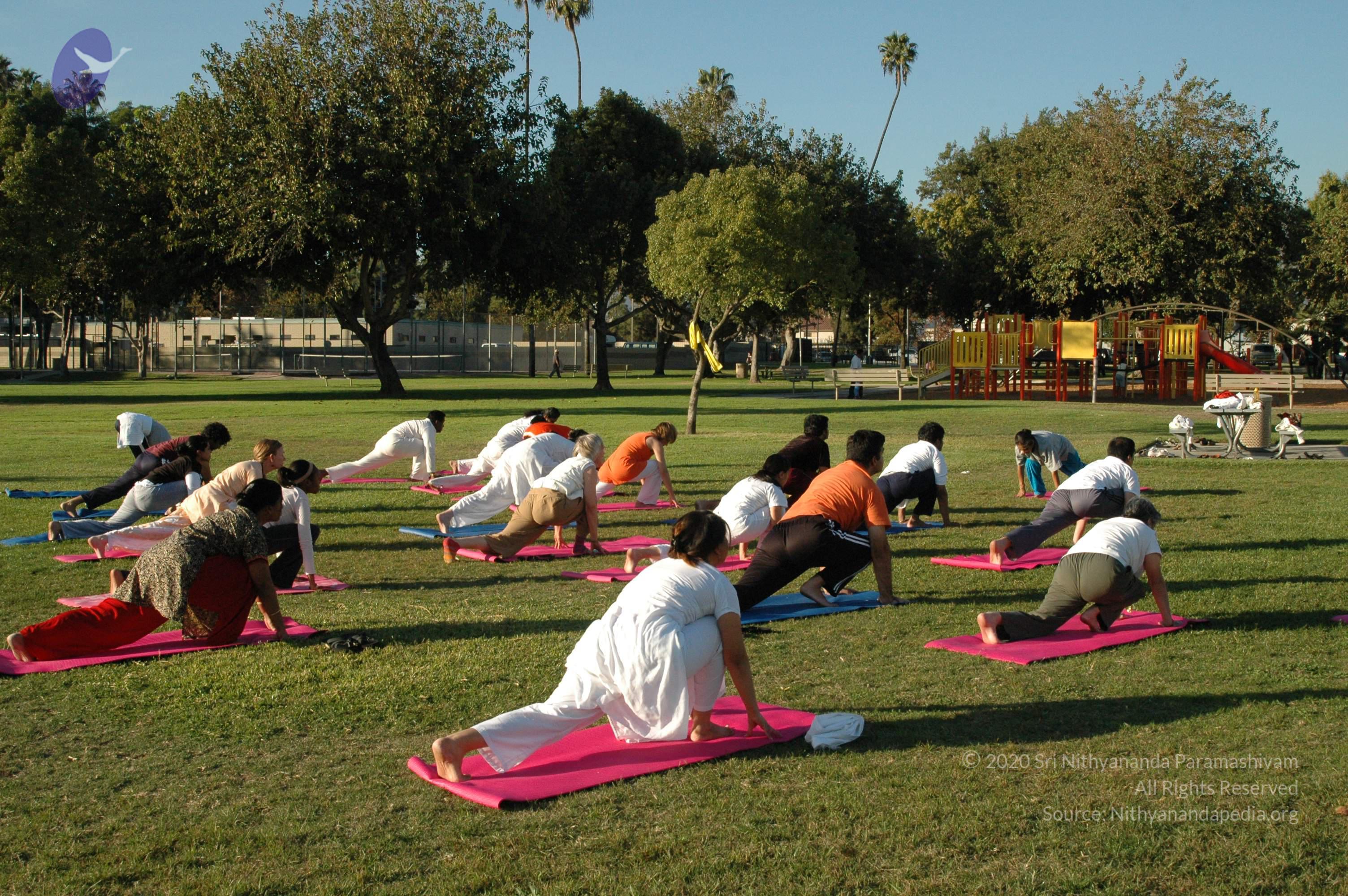 13Nov2008_NYT_Los_Angeles_19_CMP_WM