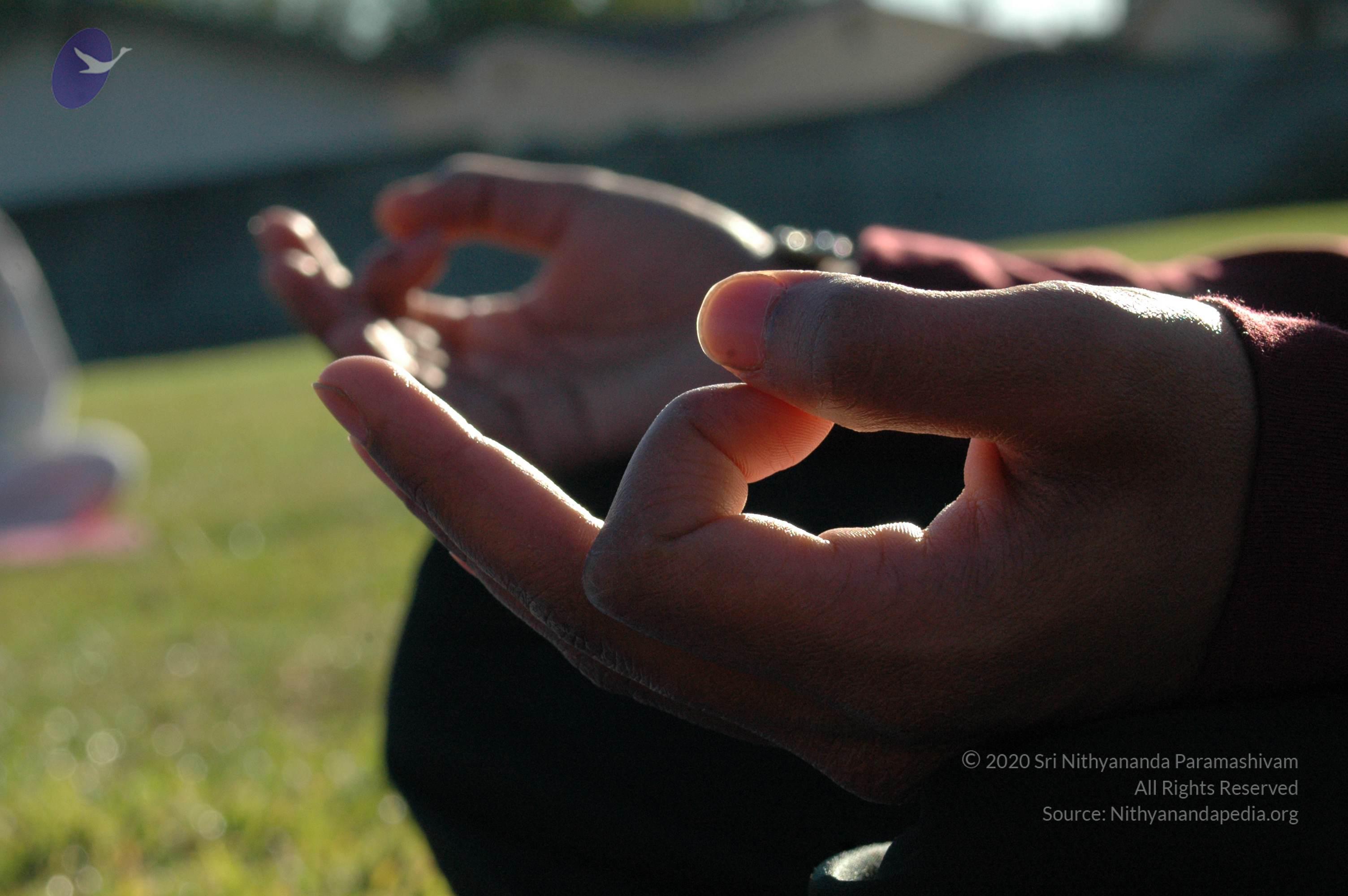 15November2008_NYT_Los_Angeles_38_CMP_WM