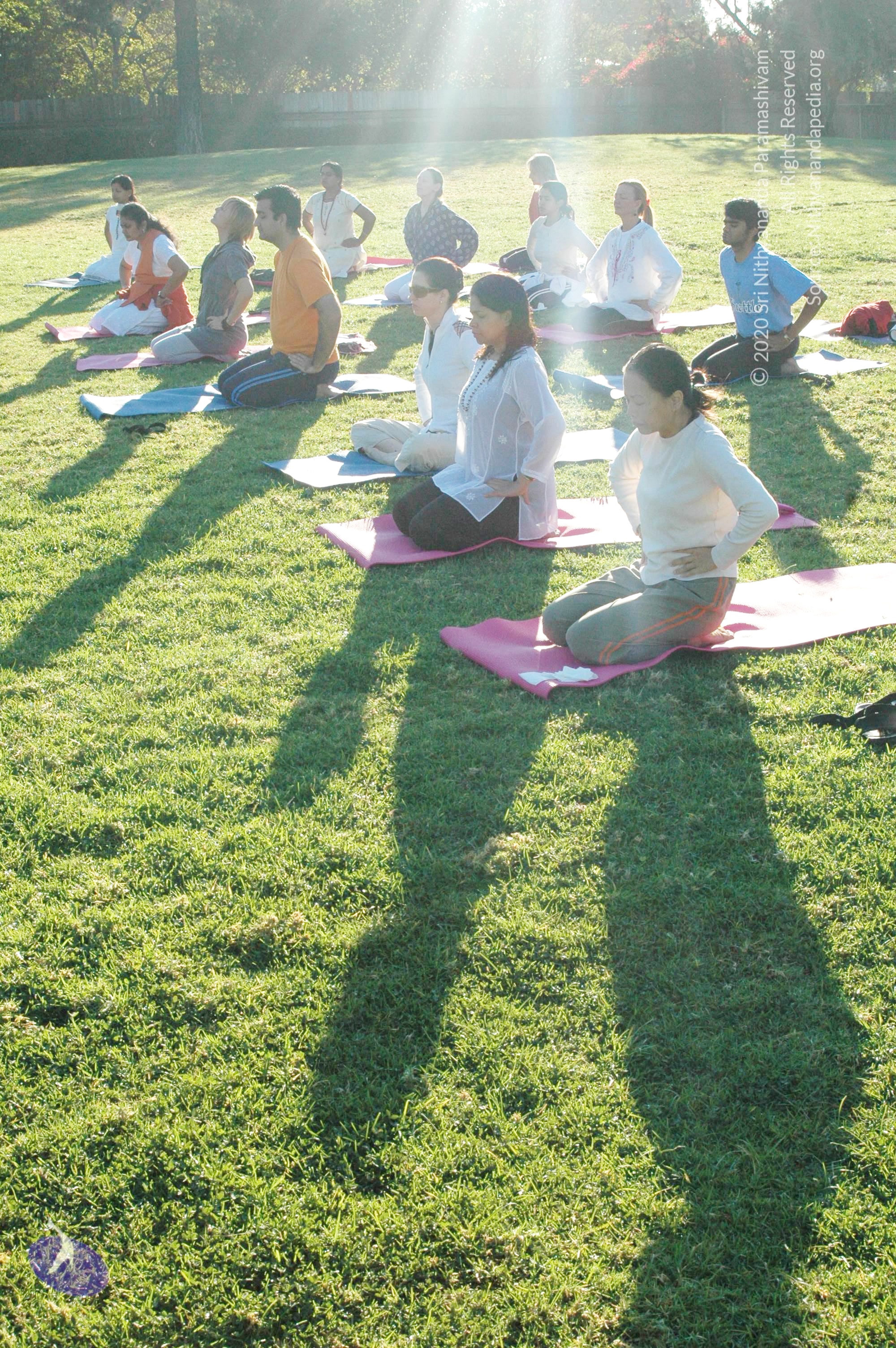 16November2008_NYT_Los_Angeles_01-1_CMP_WM