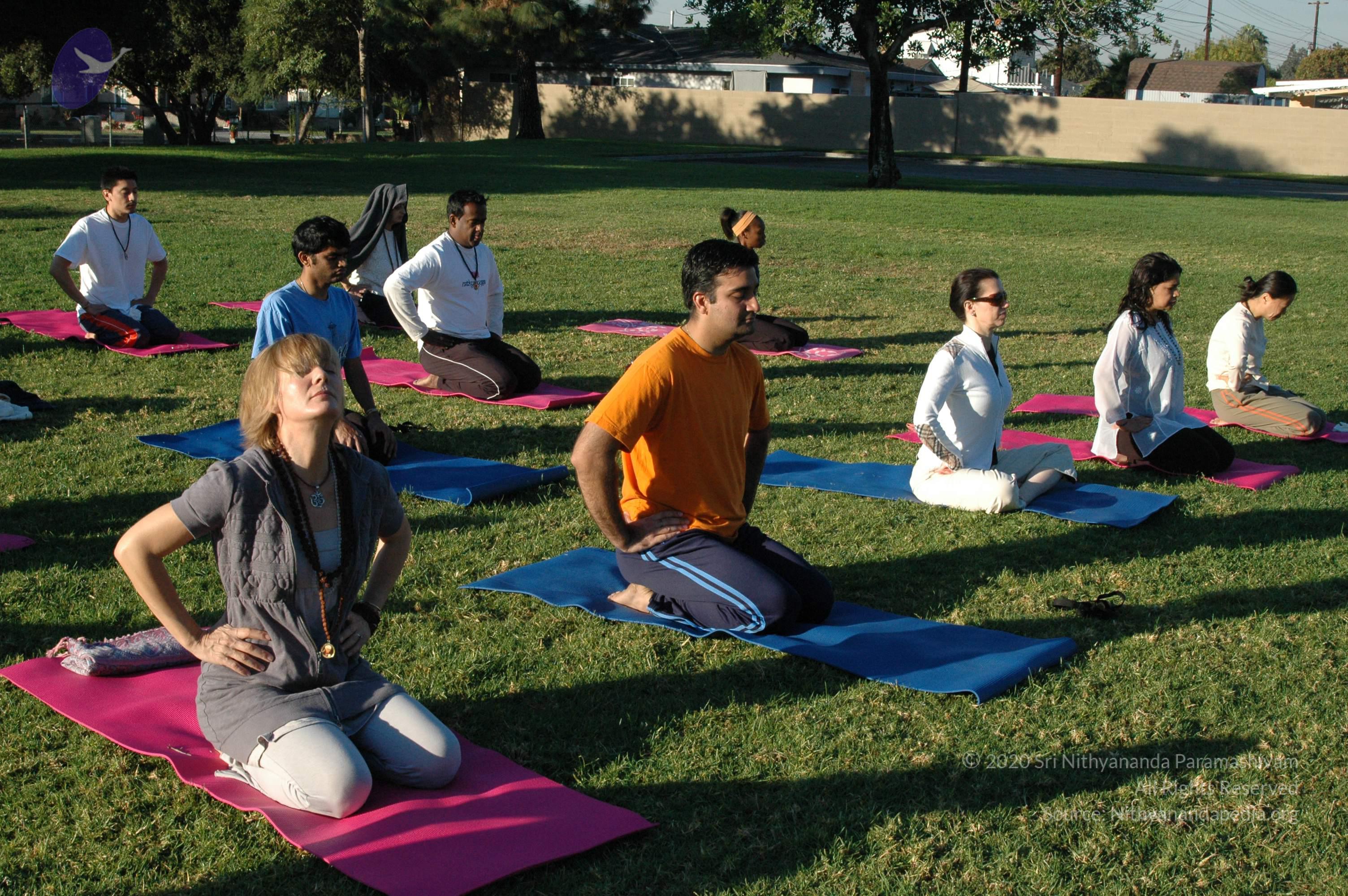 16November2008_NYT_Los_Angeles_04-1_CMP_WM