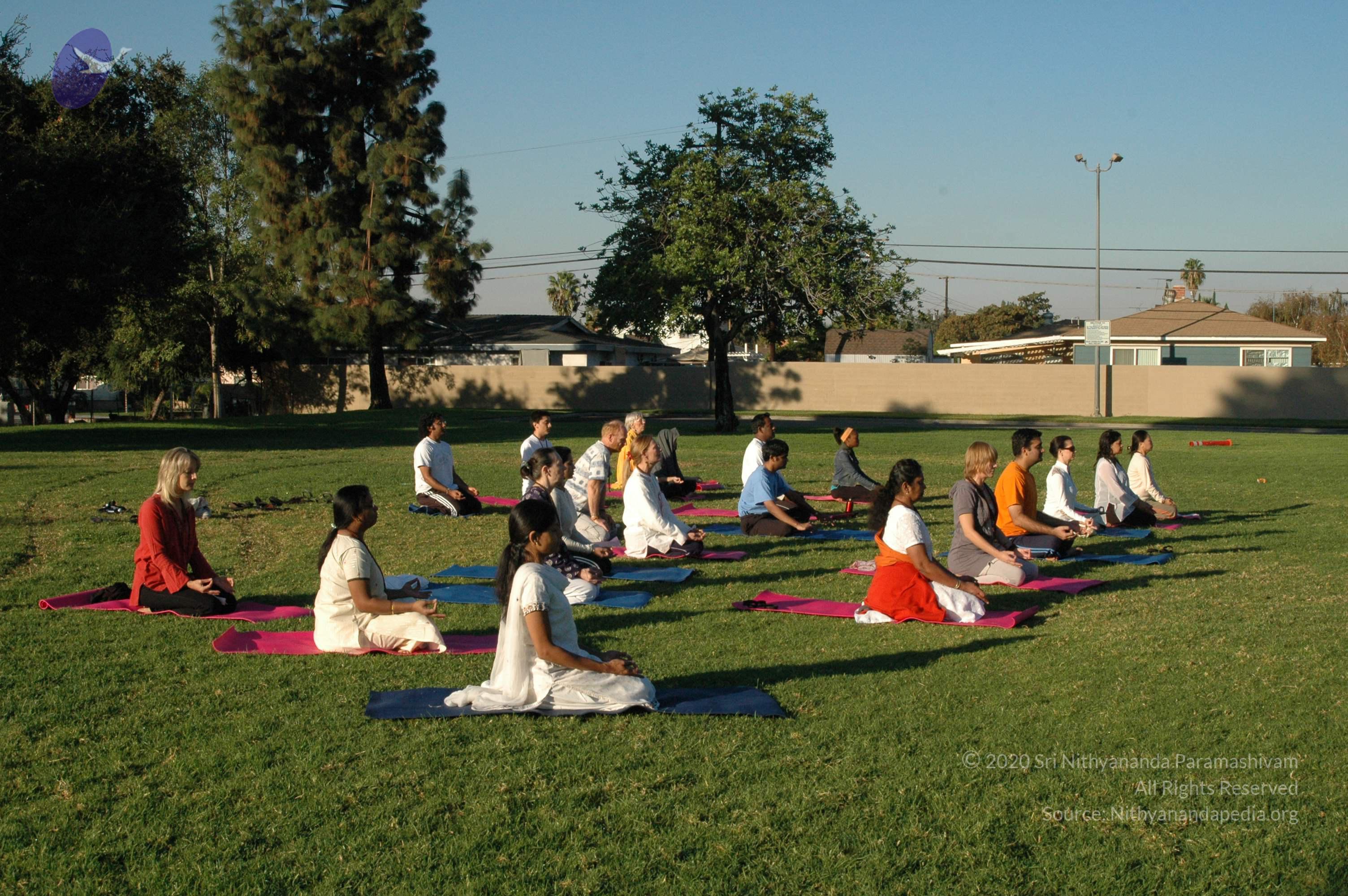 16November2008_NYT_Los_Angeles_08-1_CMP_WM