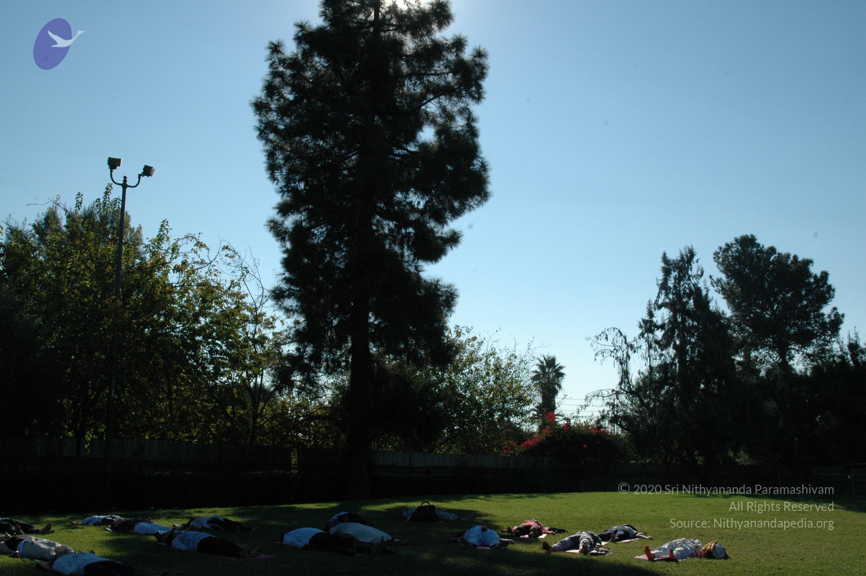 16November2008_NYT_Los_Angeles_26-1_CMP_WM