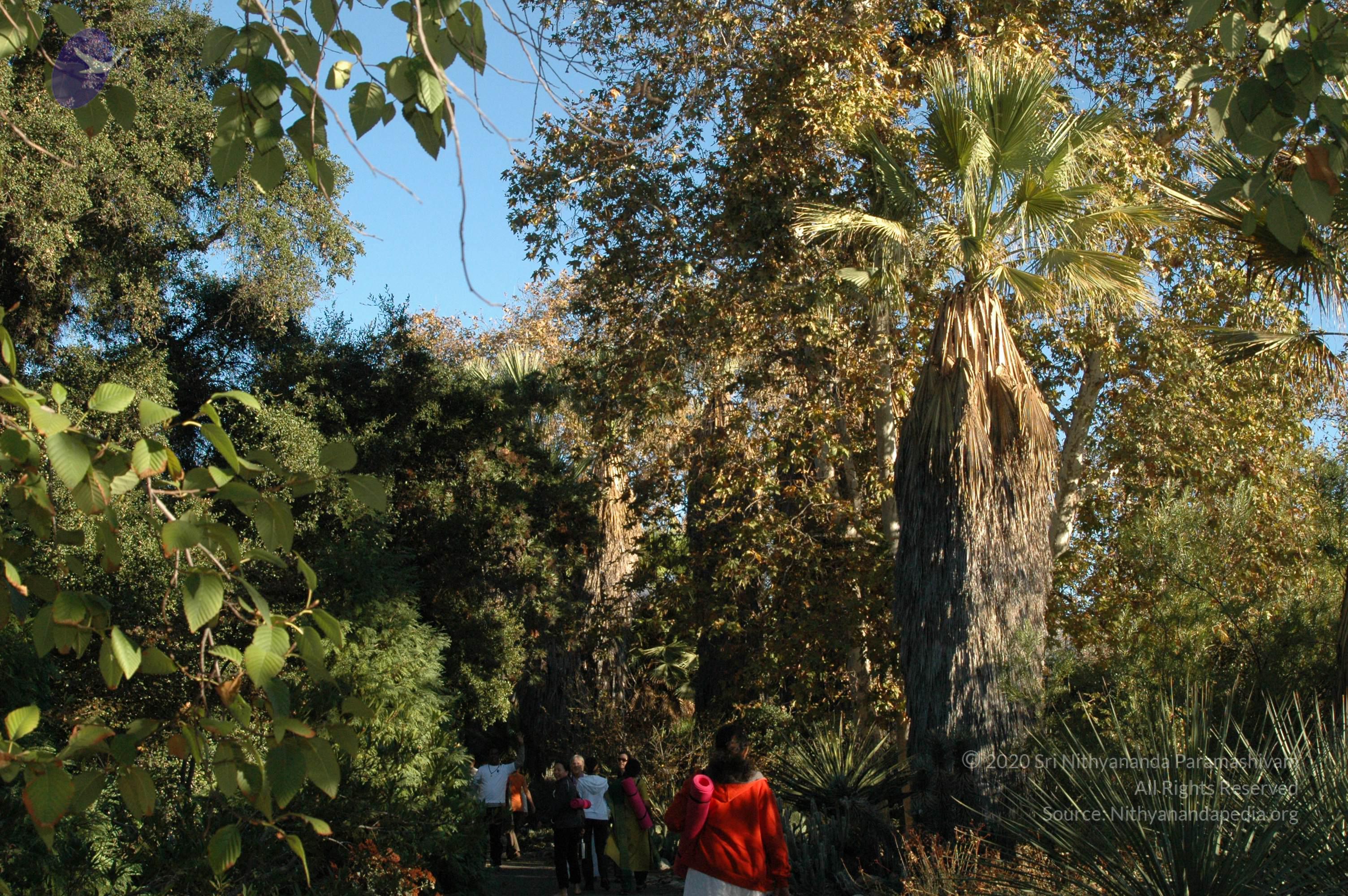 19November2008_NYT_Los_Angeles_03-1_CMP_WM