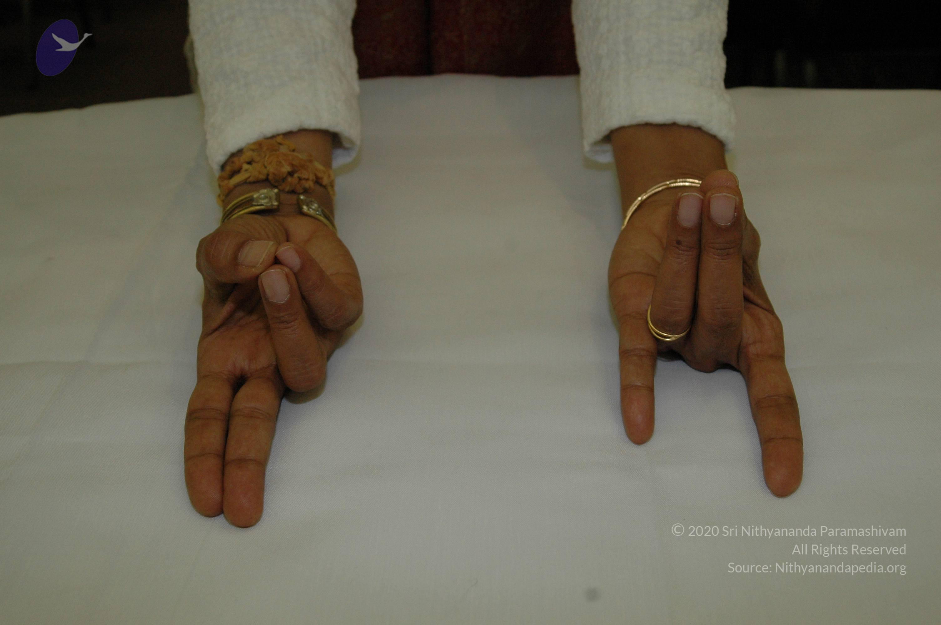 19November2008_NYT_Los_Angeles_112_CMP_WM