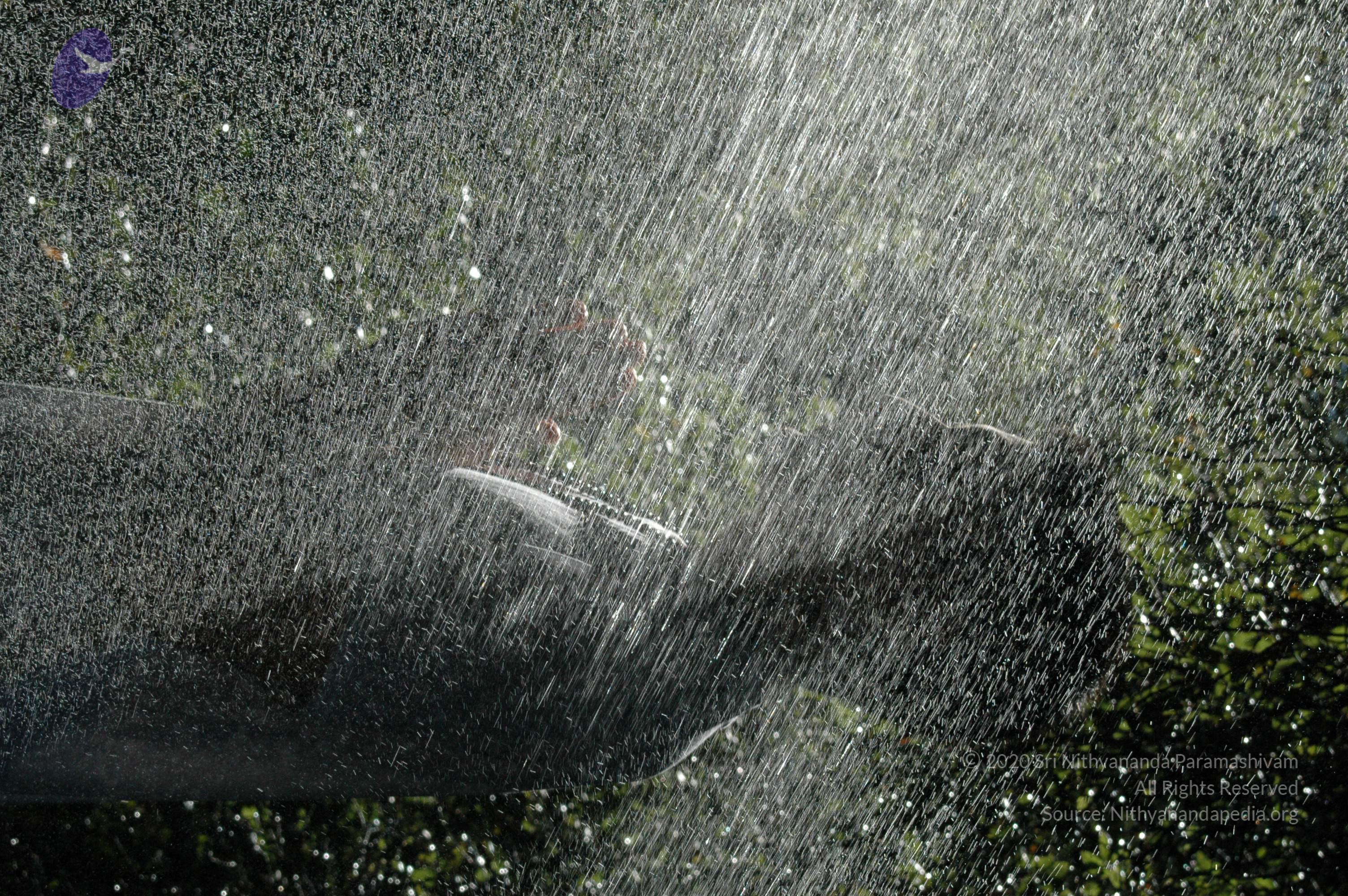 19November2008_NYT_Los_Angeles_75-1_CMP_WM