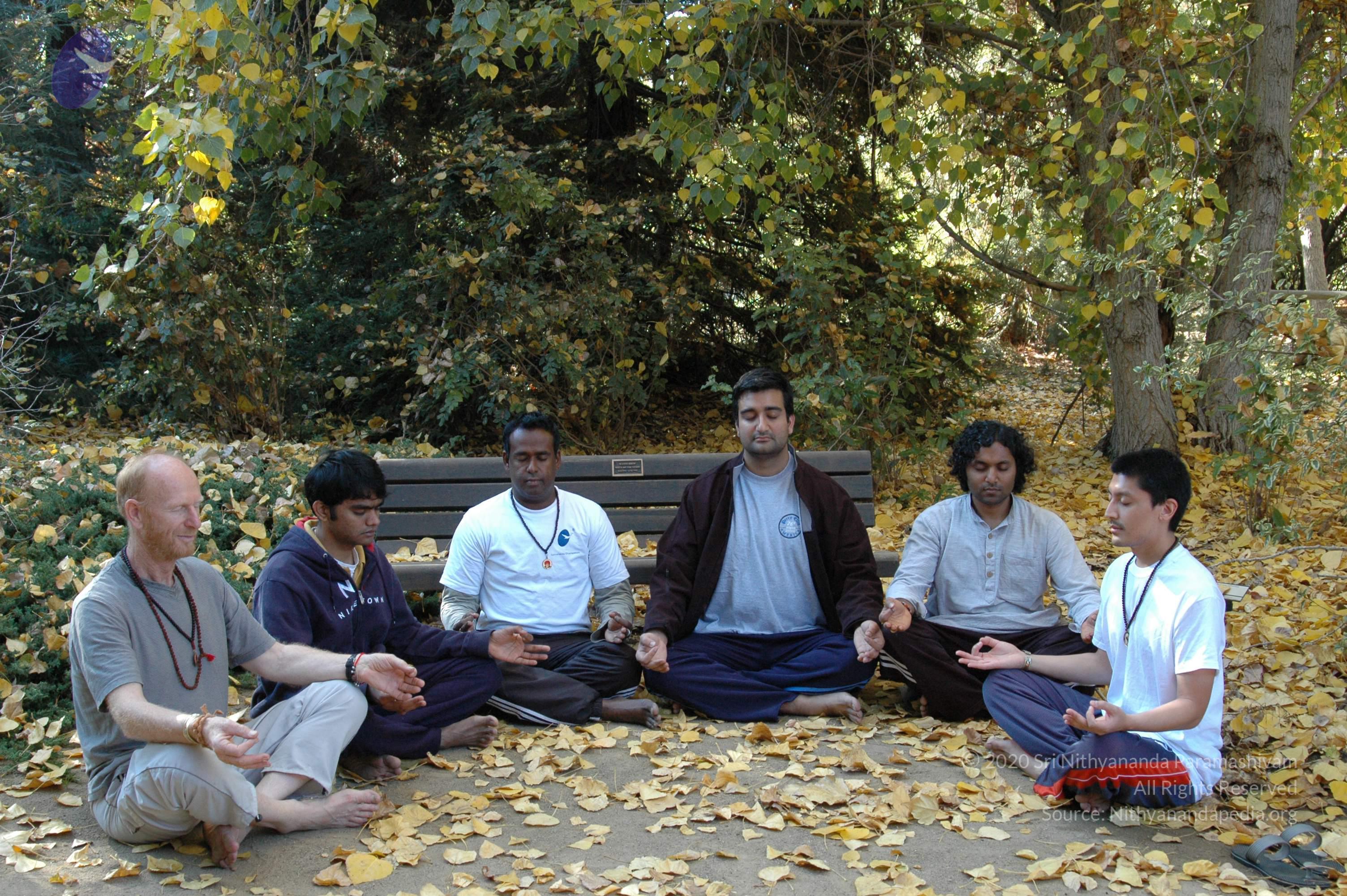 19November2008_NYT_Los_Angeles_79_CMP_WM