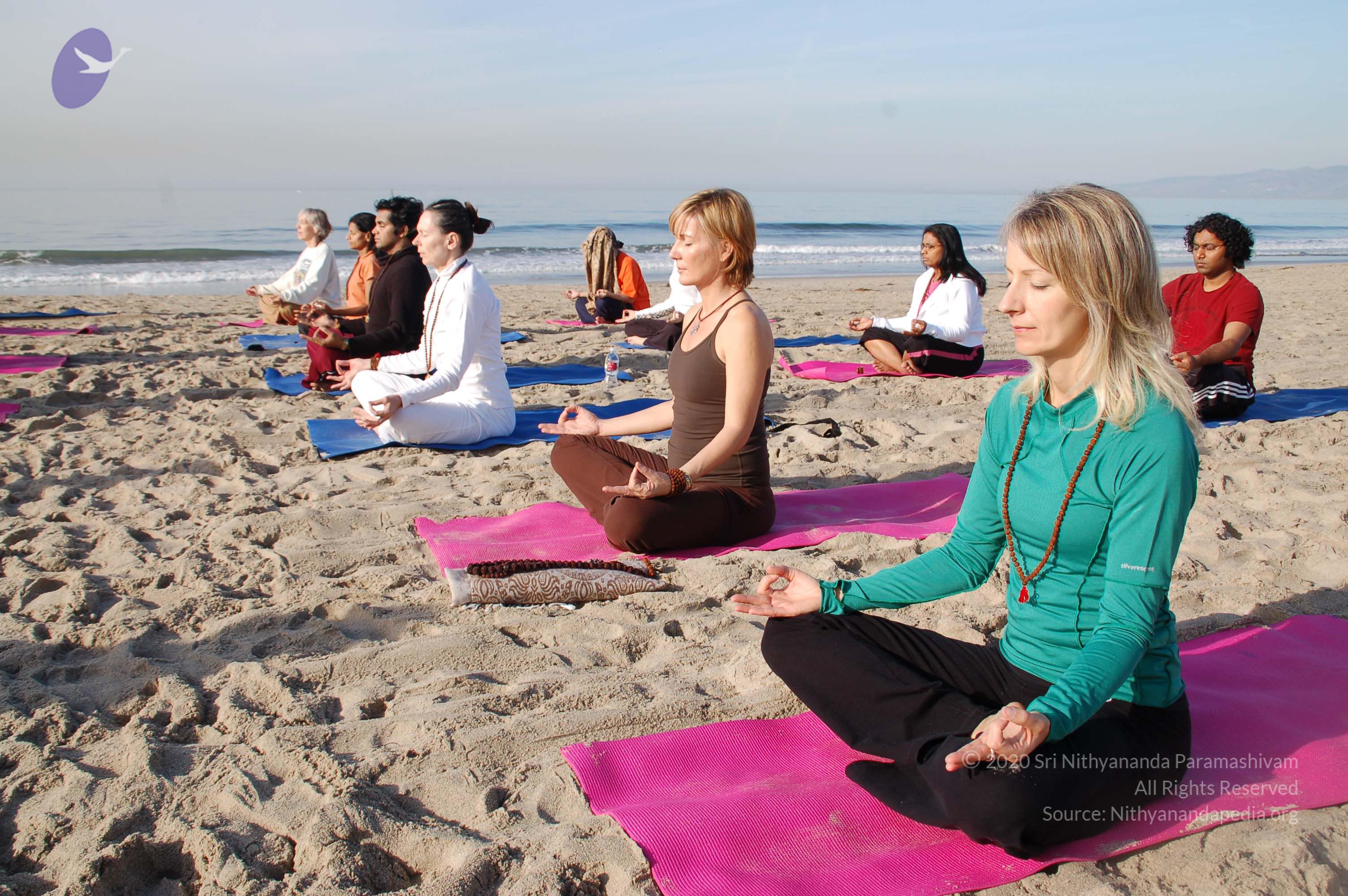 21November2008_NYT_Los_Angeles_Film2_16_CMP_WM