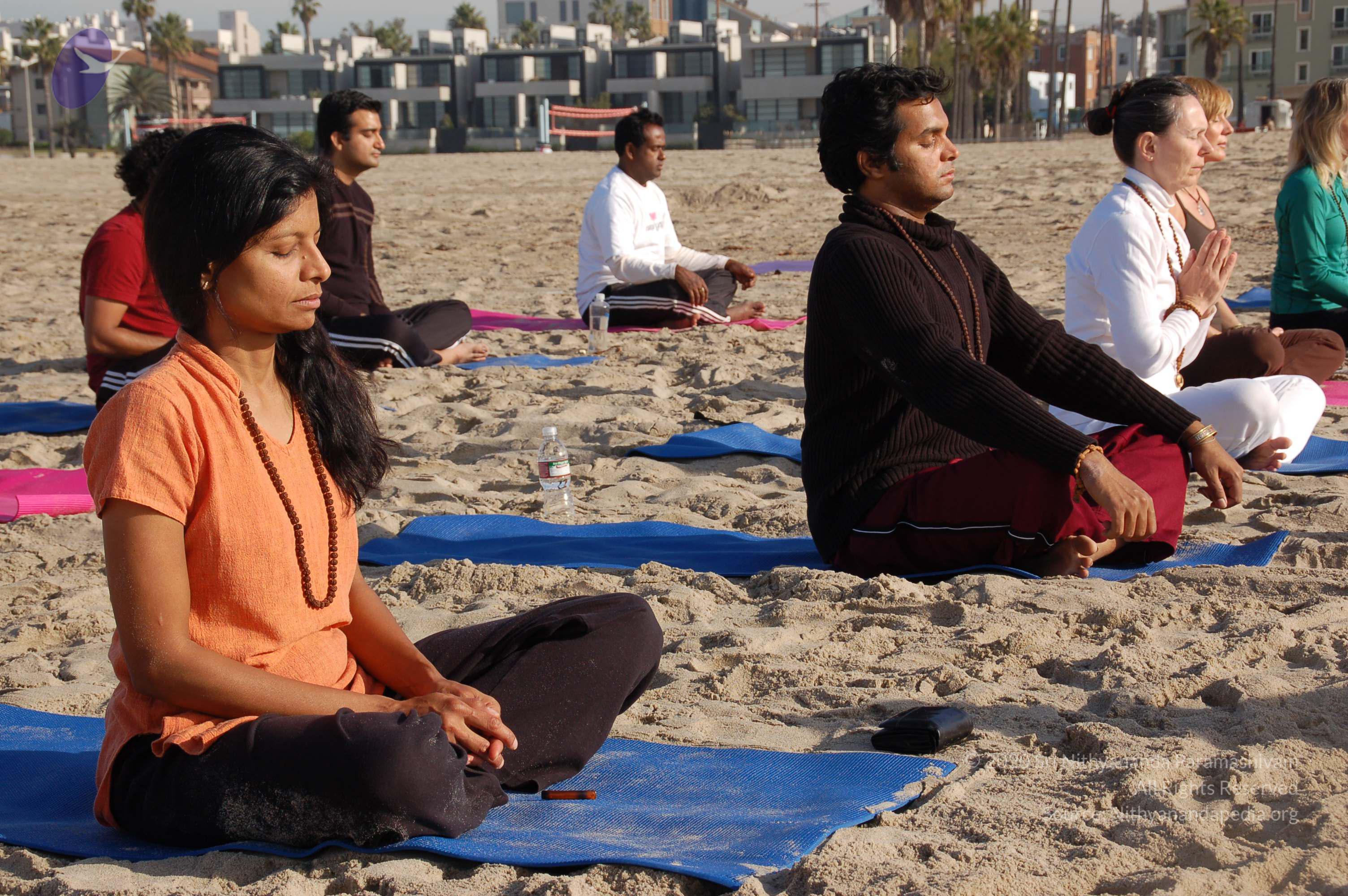 21November2008_NYT_Los_Angeles_Film2_48_CMP_WM