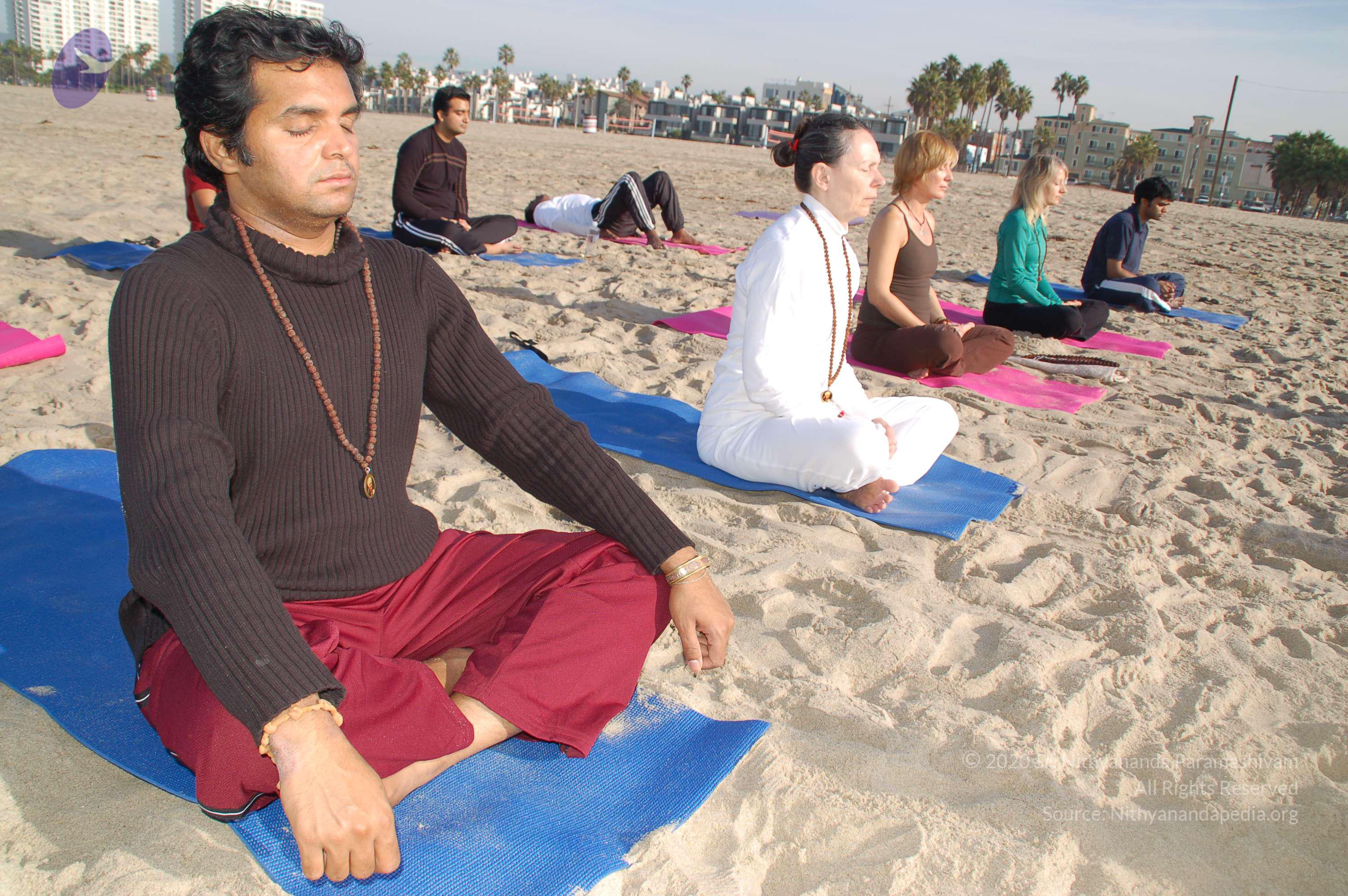 21November2008_NYT_Los_Angeles_Film2_59_CMP_WM