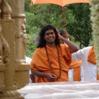 20081111_Photo_1007_DSC_2259_CMP_WM