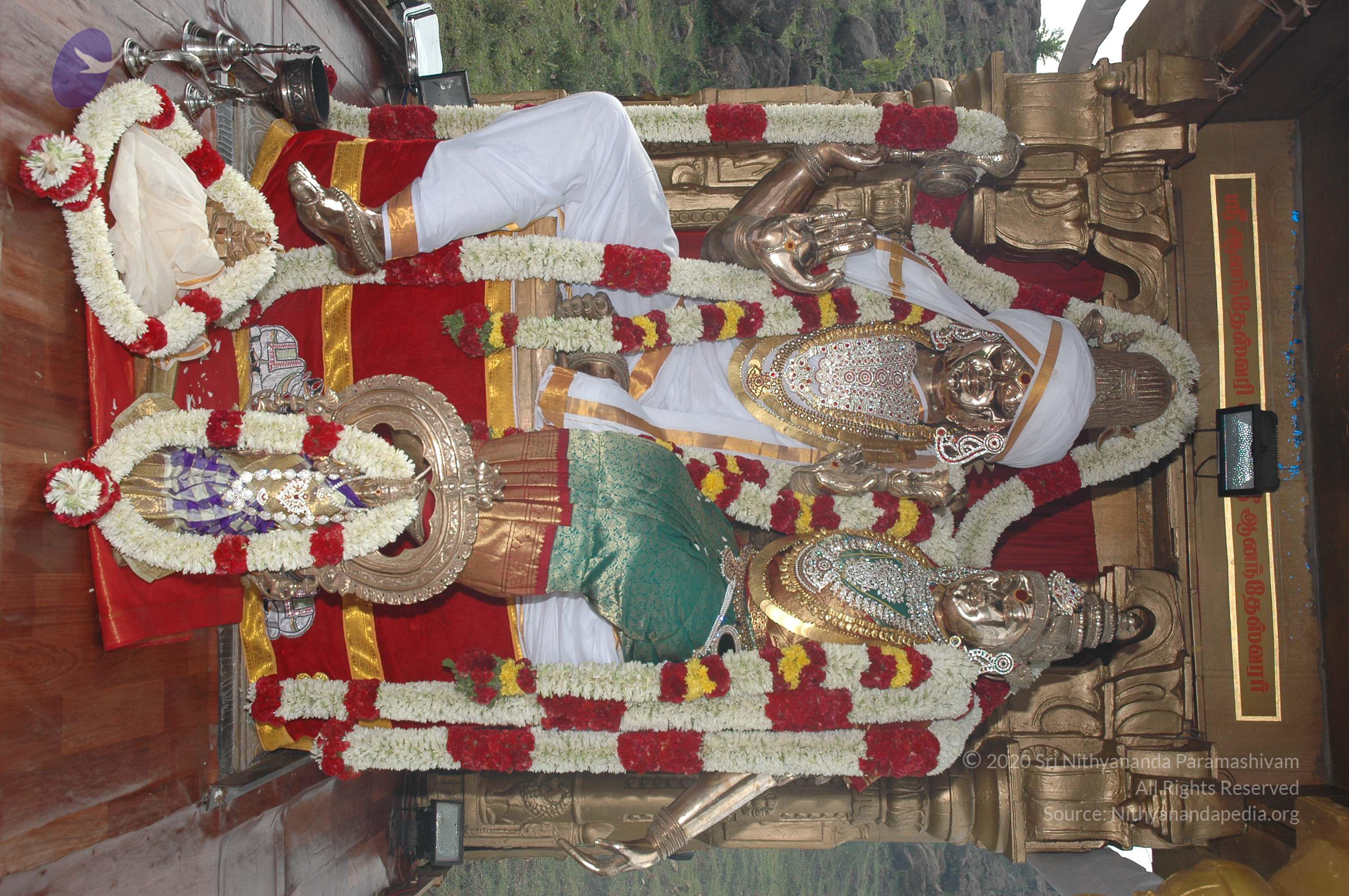 20081111_Photo_1011_DSC_2896_CMP_WM