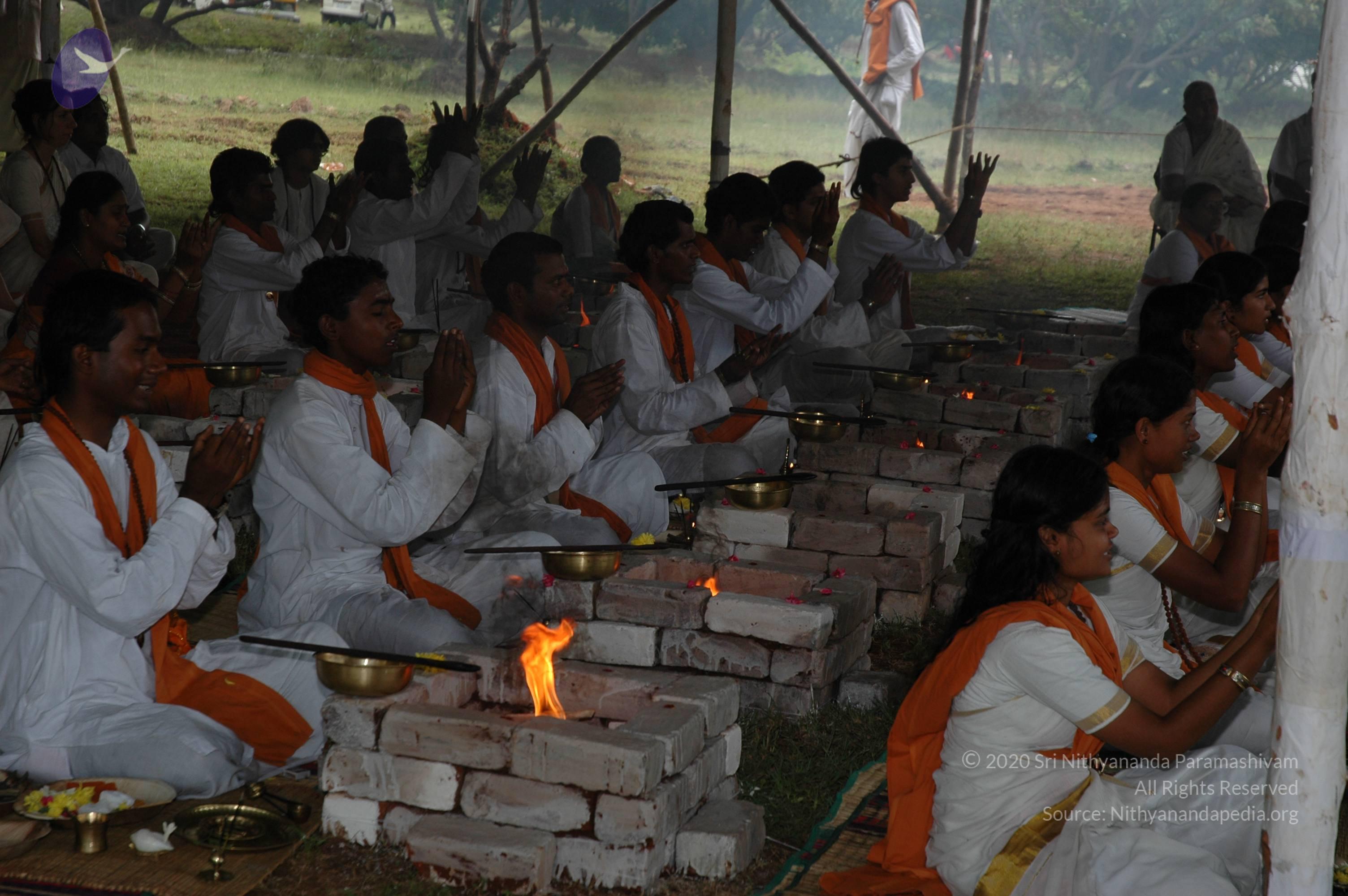 20081111_Photo_1013_DSC_2665_CMP_WM