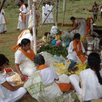 20081111_Photo_1025_DSC_2165_CMP_WM