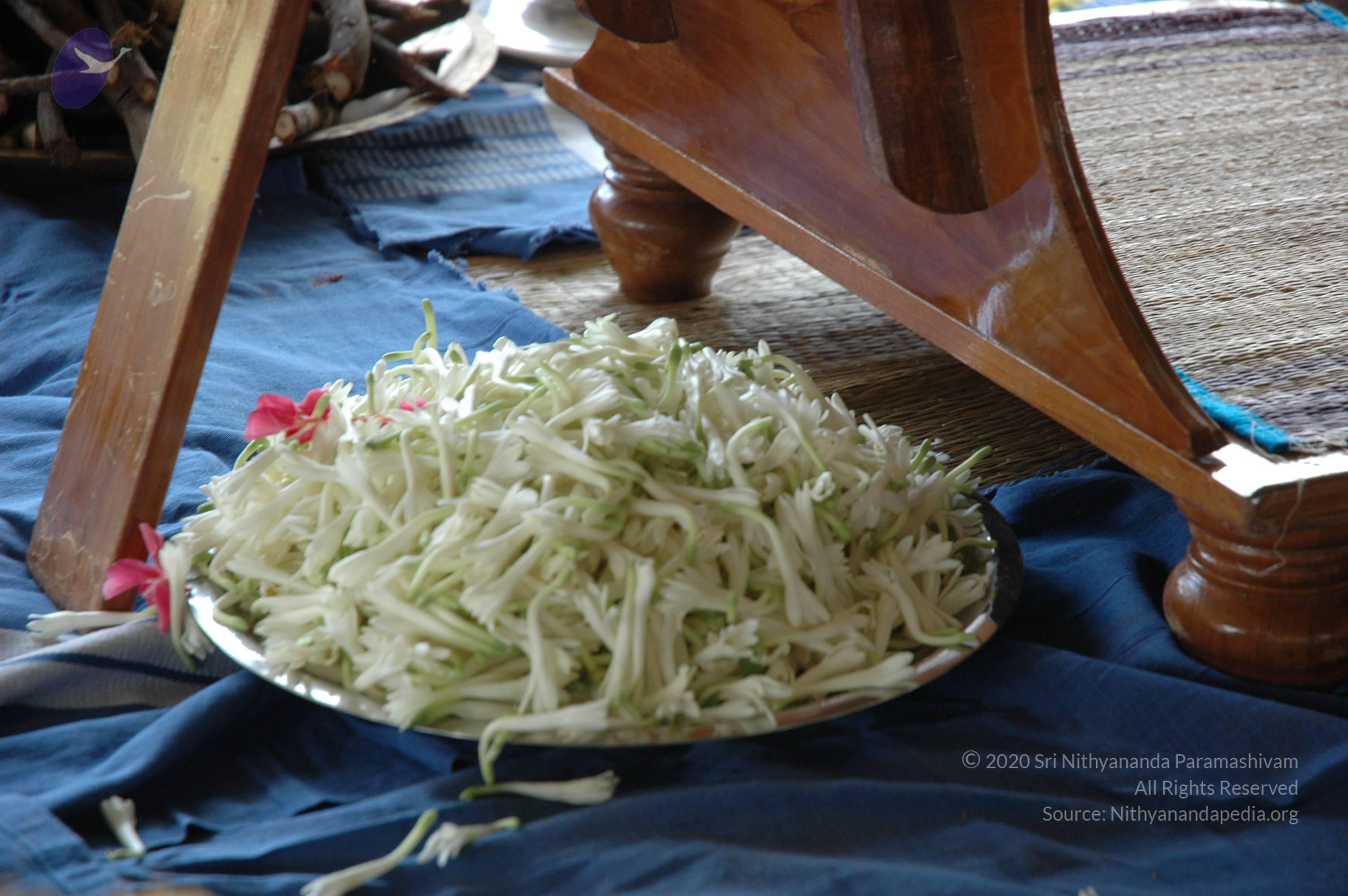 20081111_Photo_1040_DSC_2351_CMP_WM