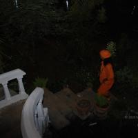 20081111_Photo_1047_DSC_3465_CMP_WM