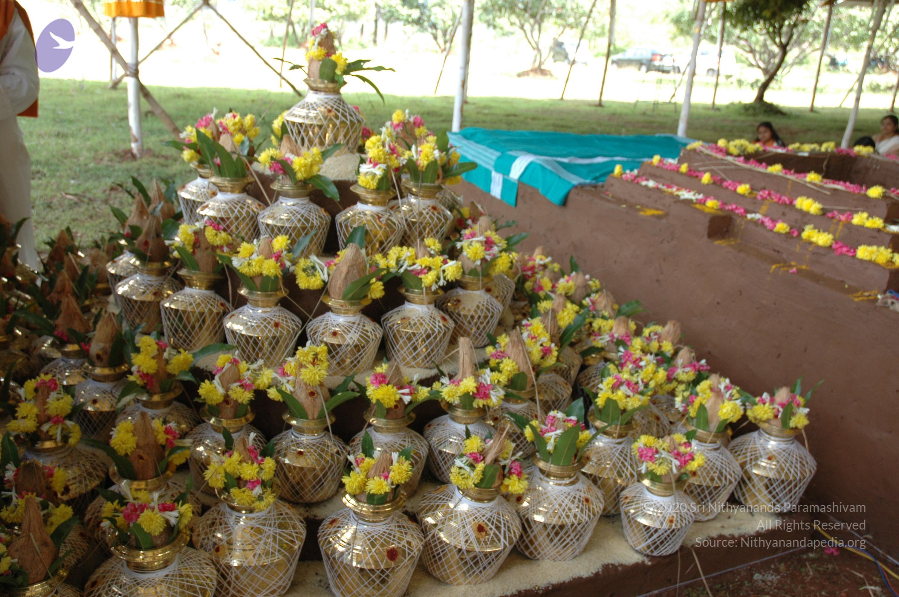 20081111_Photo_1052_DSC_2333_CMP_WM