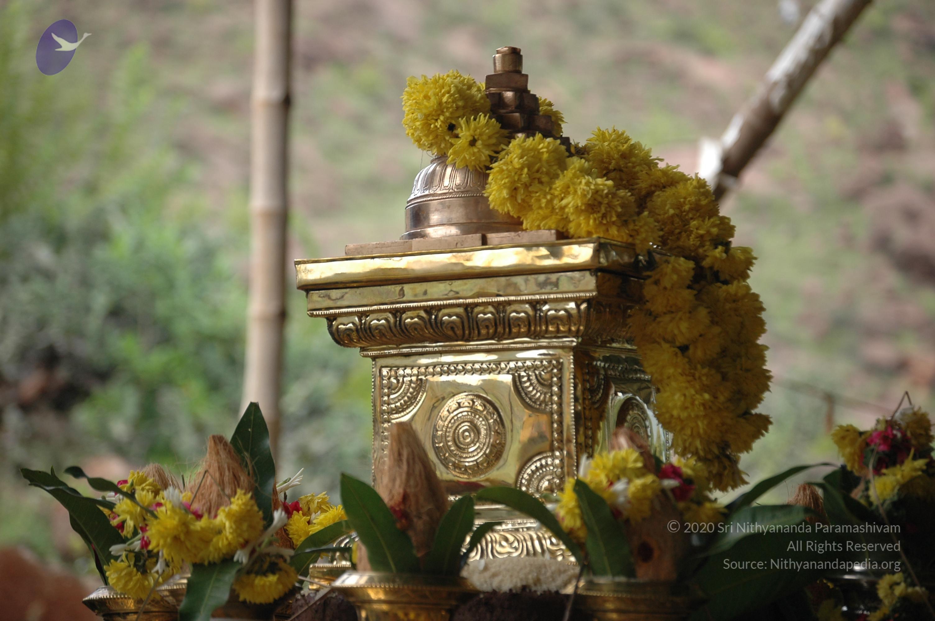 20081111_Photo_1066_DSC_2820_CMP_WM