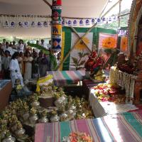 20081111_Photo_1068_DSC_5448_CMP_WM