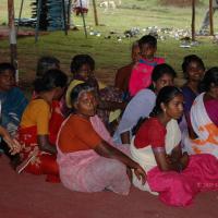 20081111_Photo_1098_DSC_2440_CMP_WM