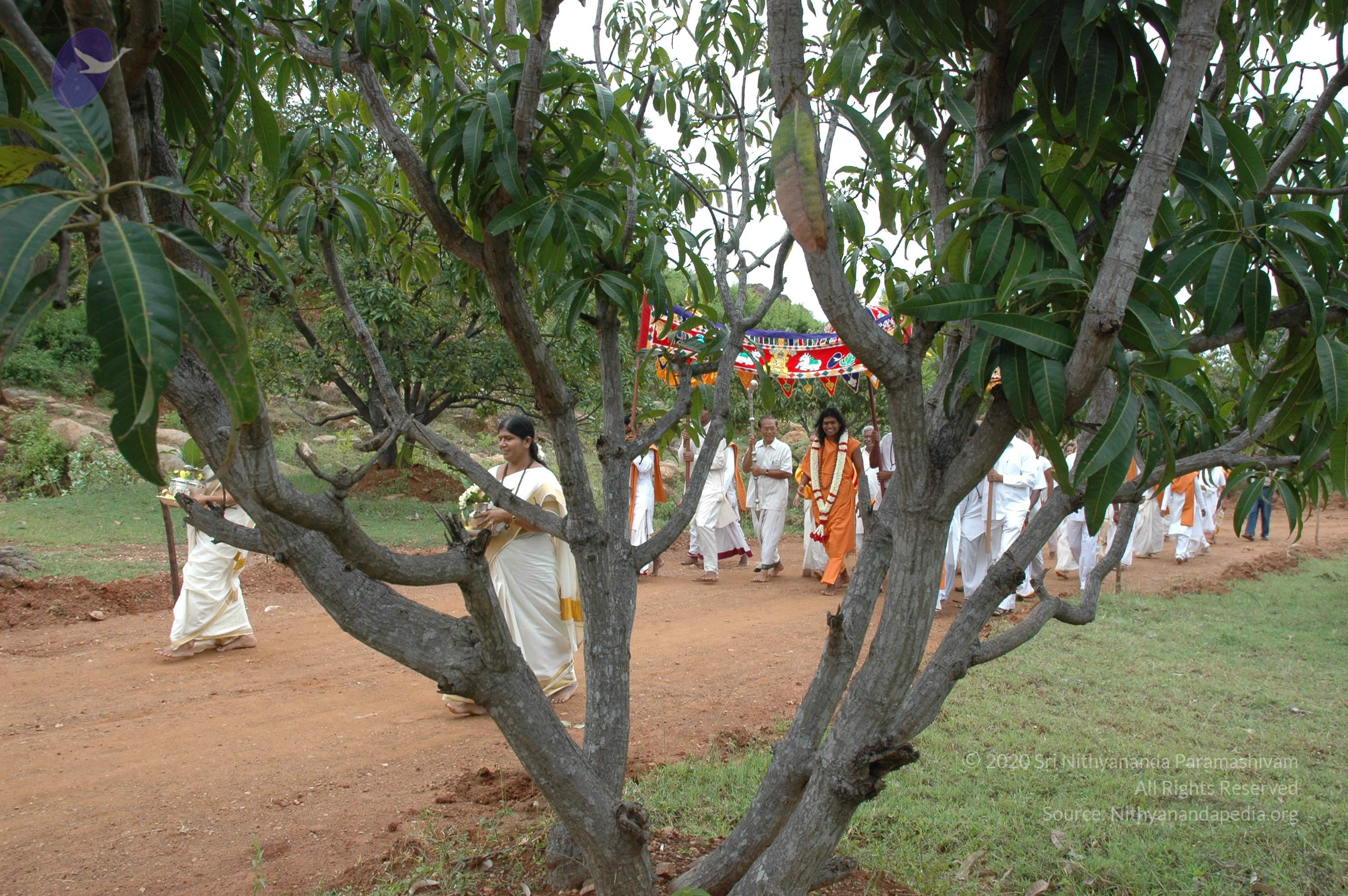 20081111_Photo_1102_DSC_2029_CMP_WM