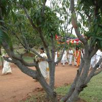 20081111_Photo_1102_DSC_2029_CMP_WM