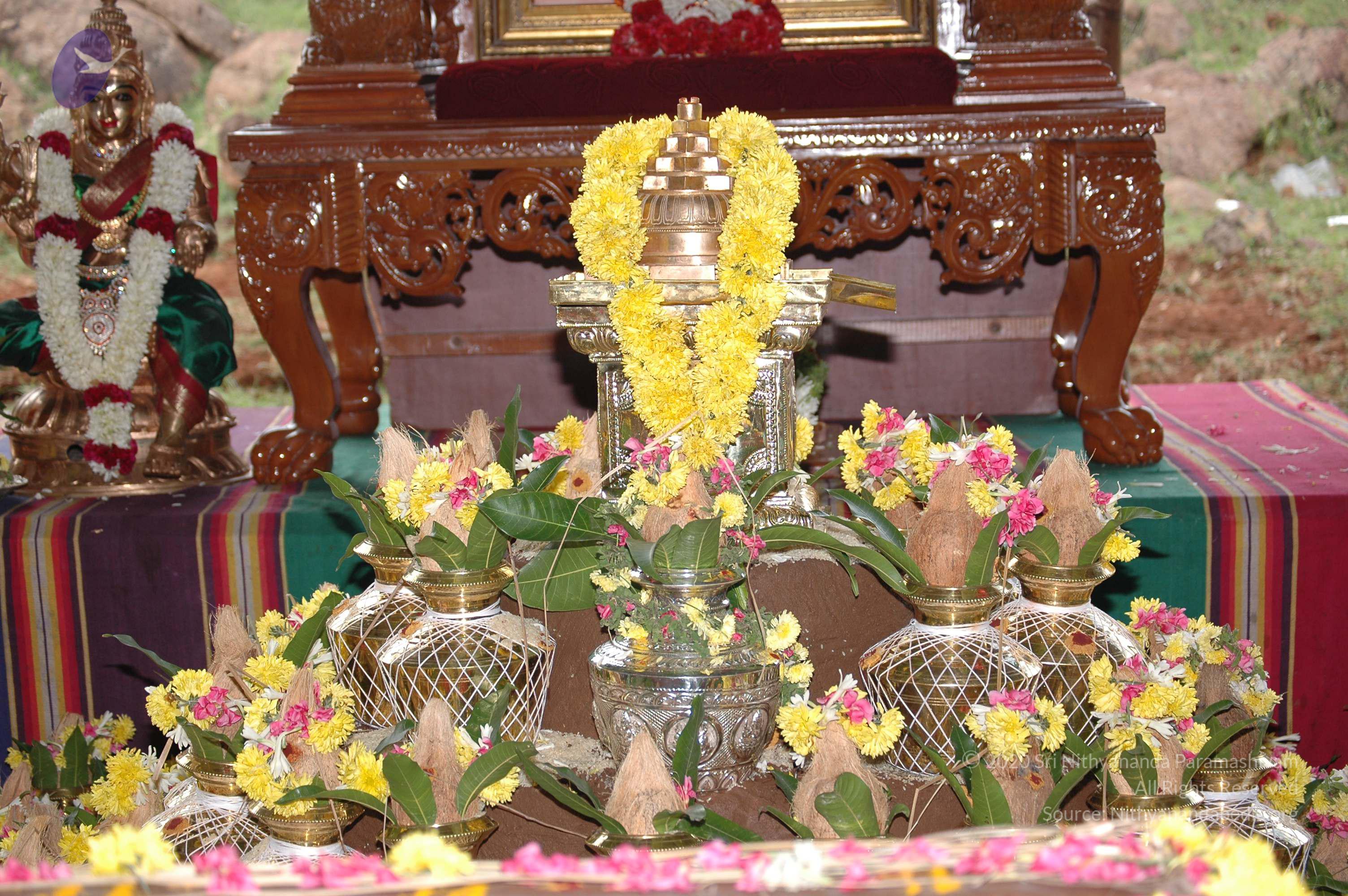 20081111_Photo_1105_DSC_2415_CMP_WM