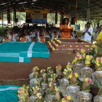 20081111_Photo_1118_DSC_2494_CMP_WM