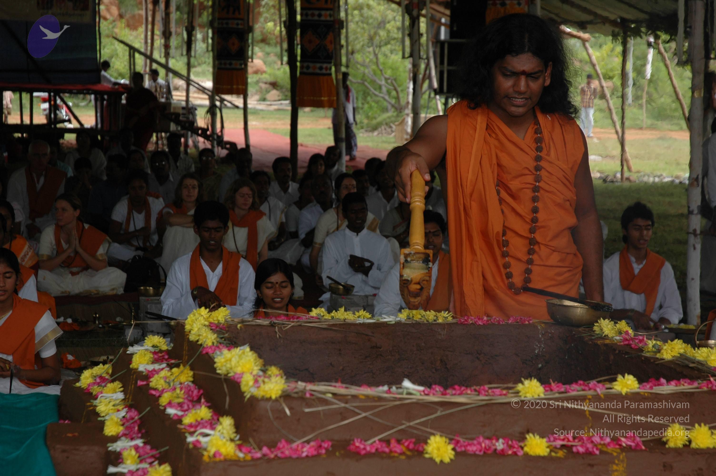 20081111_Photo_1128_DSC_2643_CMP_WM