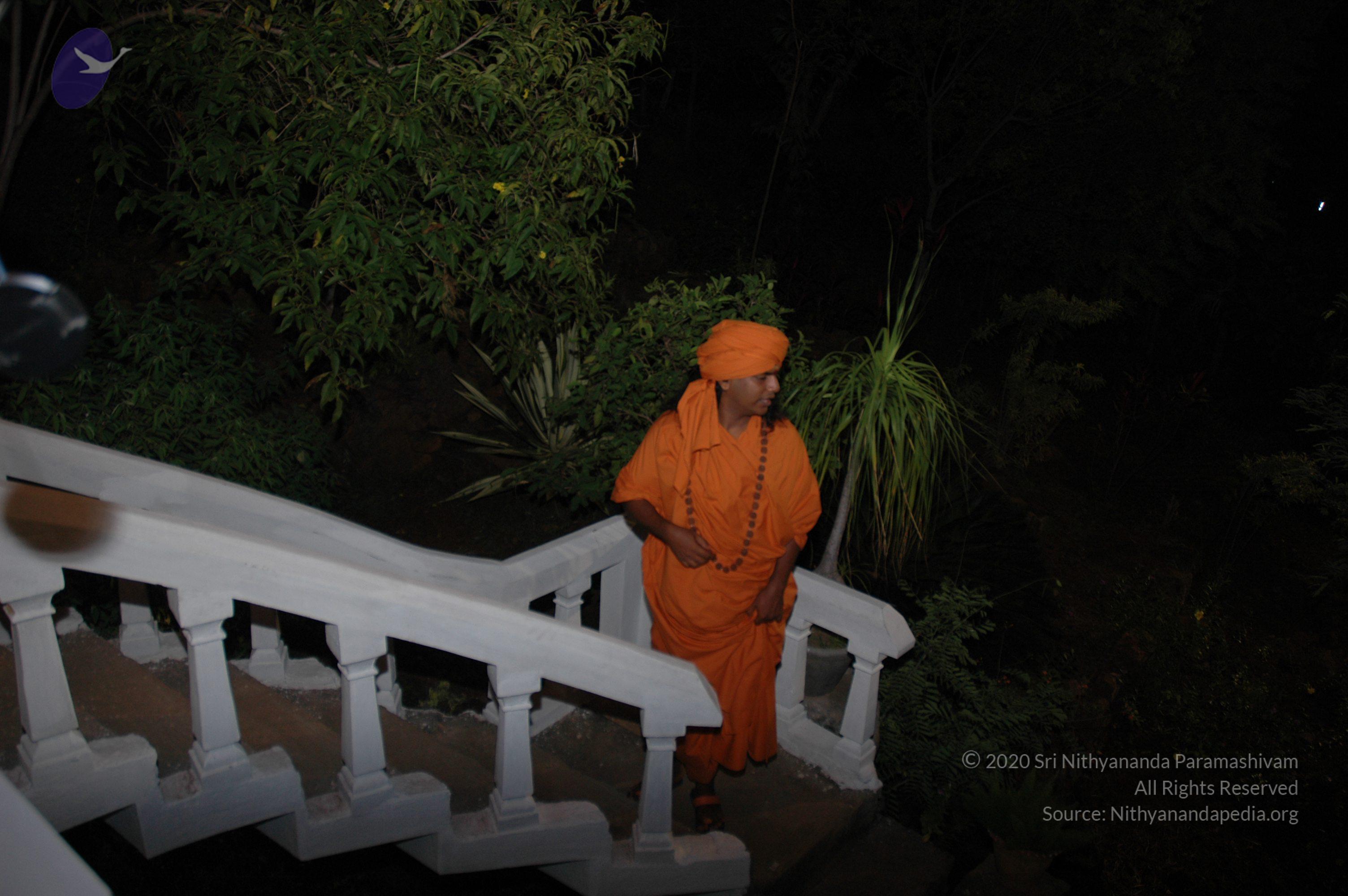 20081111_Photo_1132_DSC_3468_CMP_WM