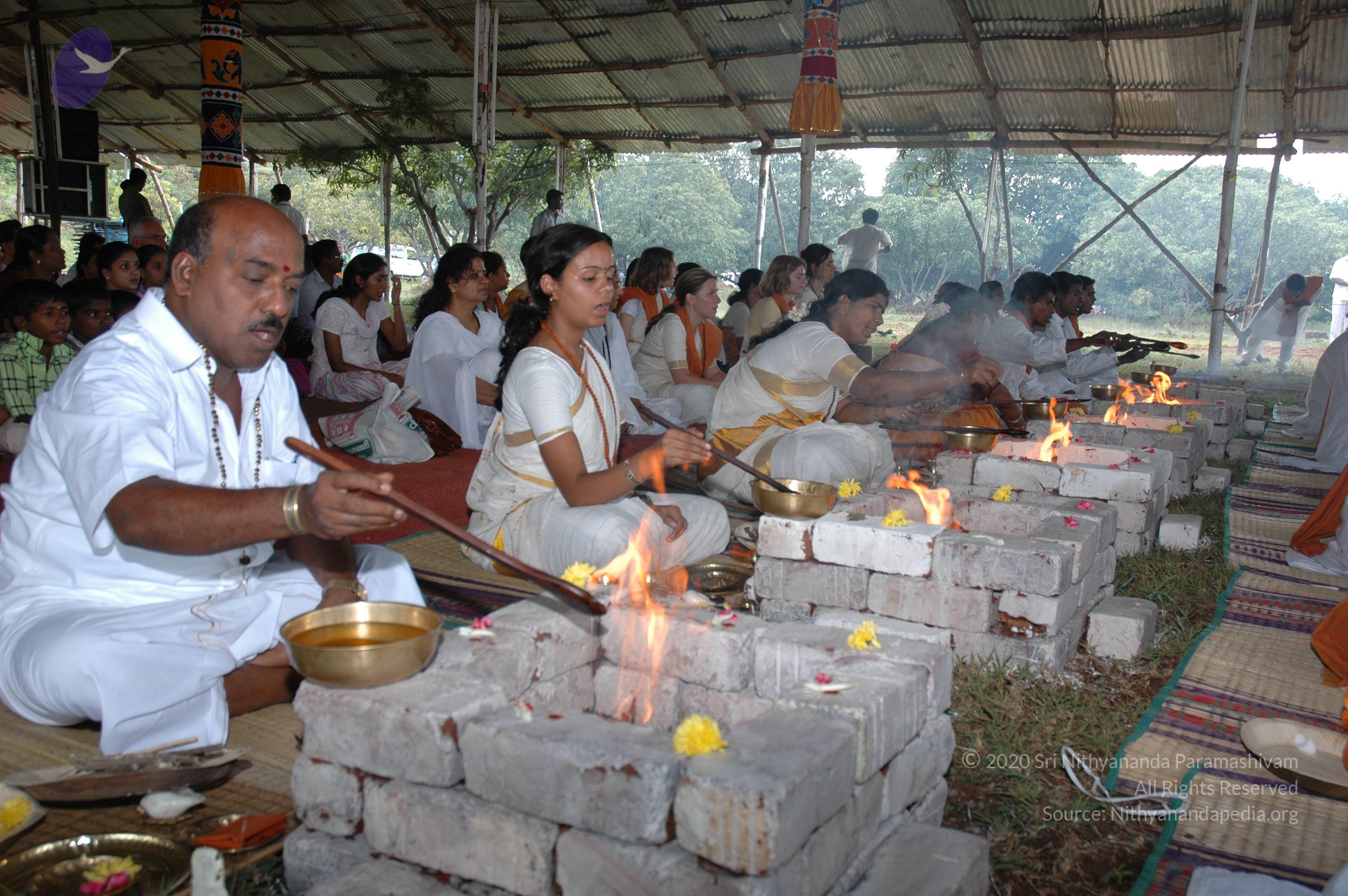 20081111_Photo_1170_DSC_2692_CMP_WM