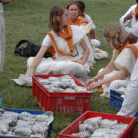 20081111_Photo_1176_DSC_2834_CMP_WM