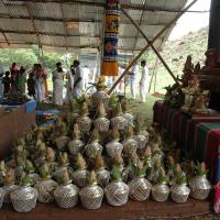 20081111_Photo_1186_DSC_2146_CMP_WM