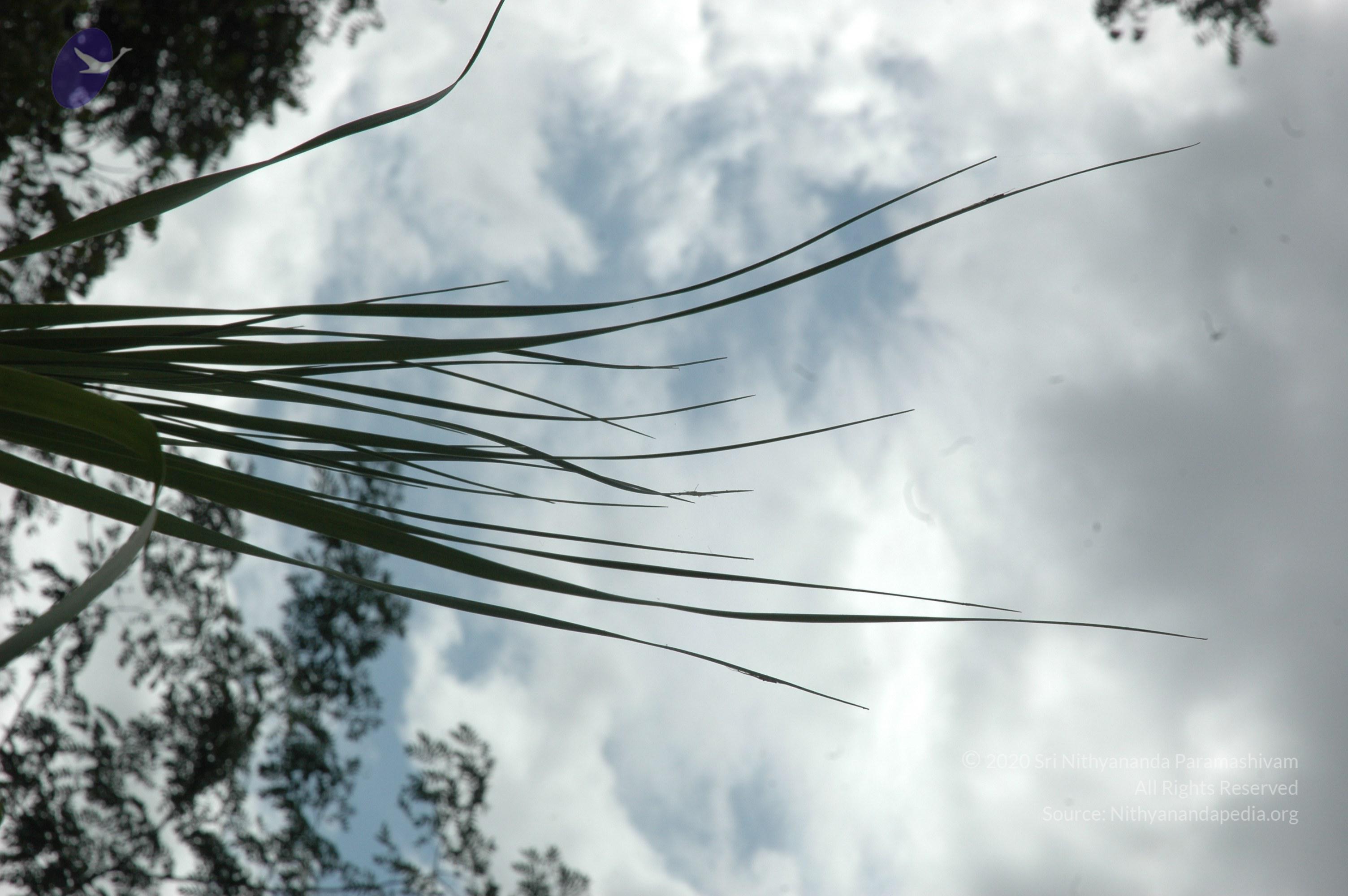 20081111_Photo_1193_DSC_2752_CMP_WM