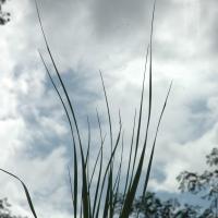 20081111_Photo_1193_DSC_2752_CMP_WM