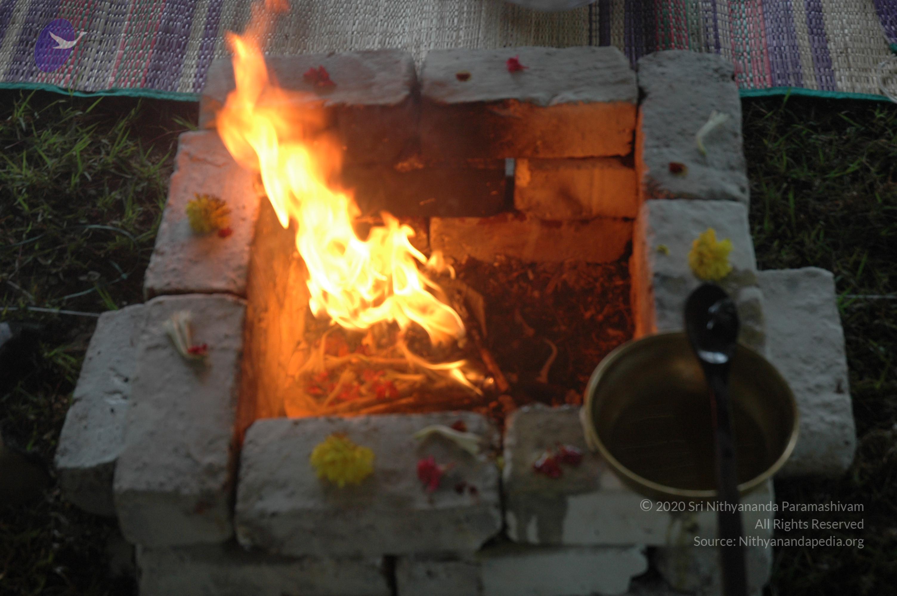 20081111_Photo_1196_DSC_2882_CMP_WM