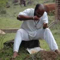 20081111_Photo_1209_DSC_2839_CMP_WM